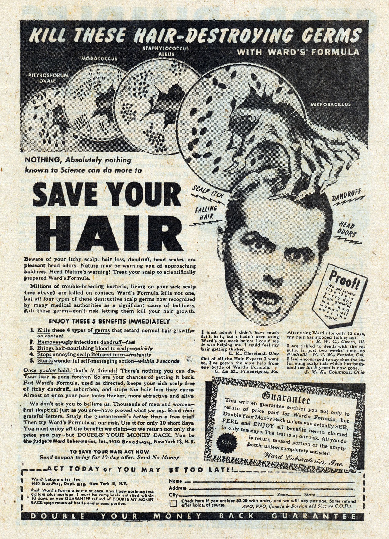 Read online It's A Duck's Life comic -  Issue #6 - 34