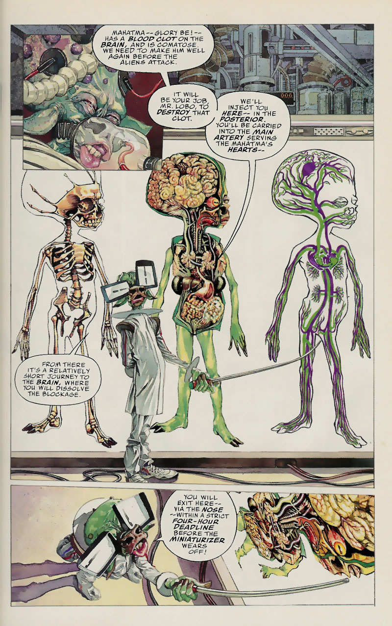 Read online Lobo: Fragtastic Voyage comic -  Issue # Full - 8