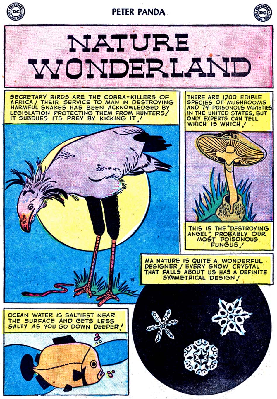 Read online Peter Panda comic -  Issue #1 - 29