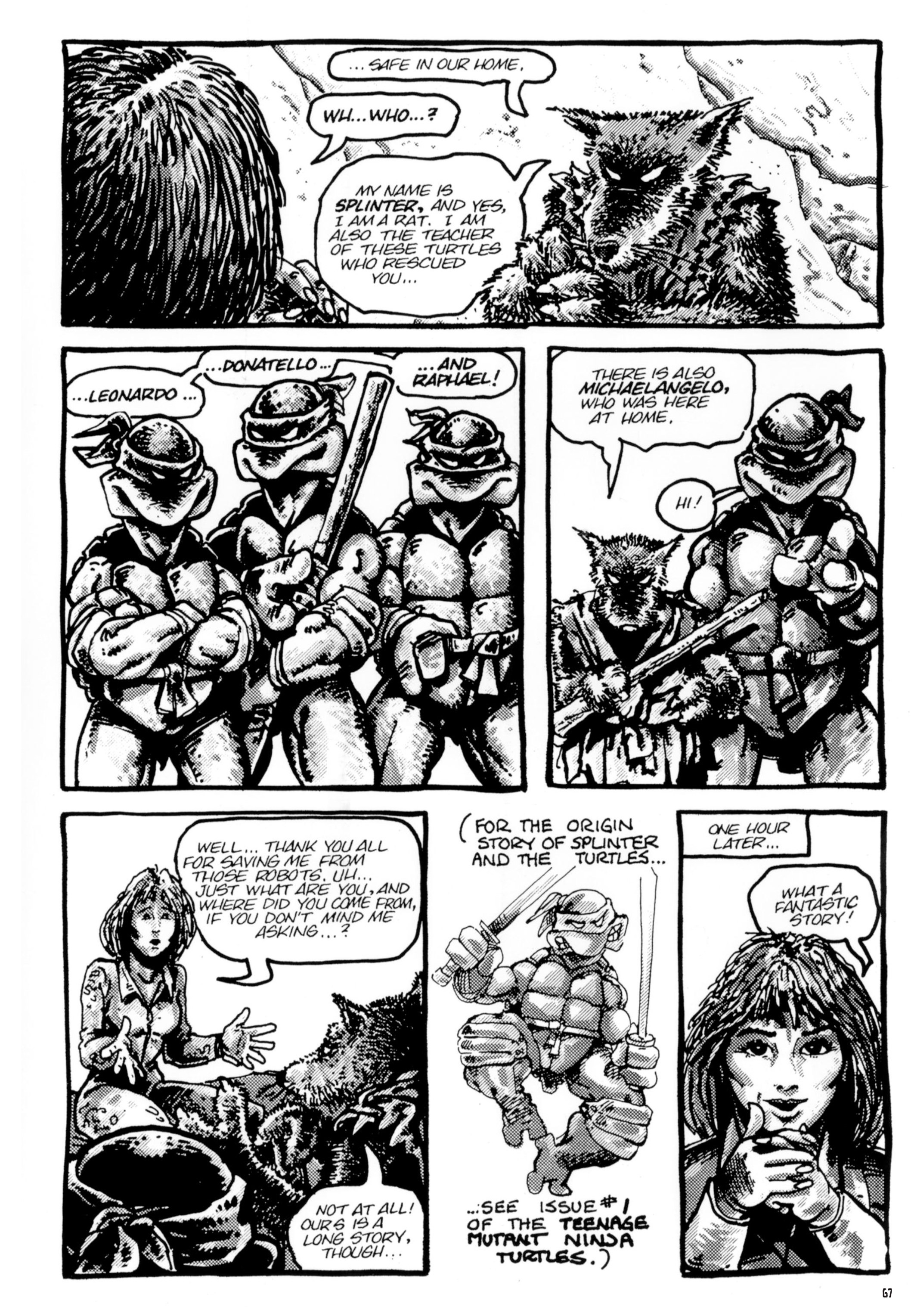 Read online Teenage Mutant Ninja Turtles: The Ultimate Collection comic -  Issue # TPB 1 (Part 1) - 65