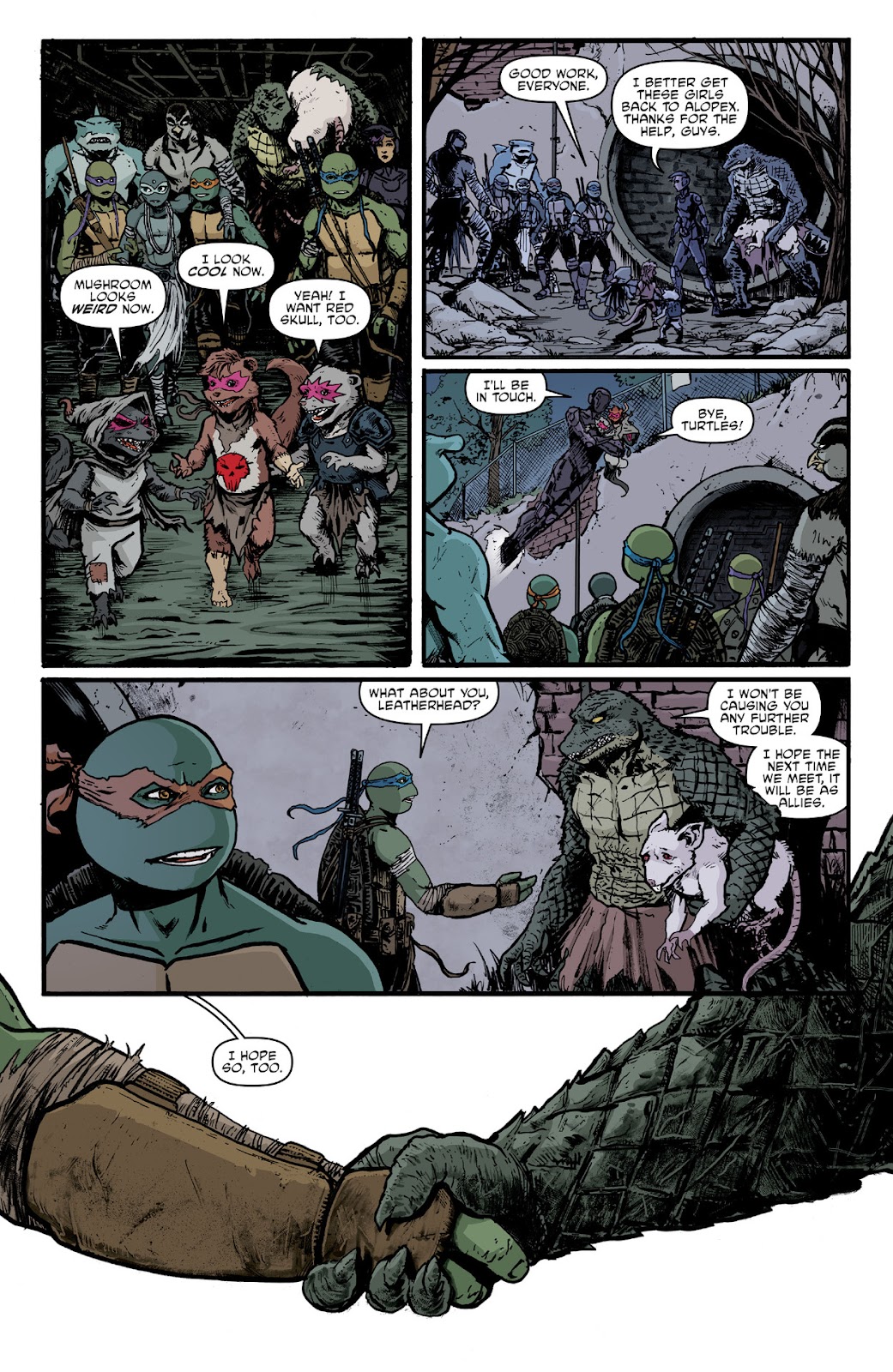 Teenage Mutant Ninja Turtles (2011) issue 144 - Page 13