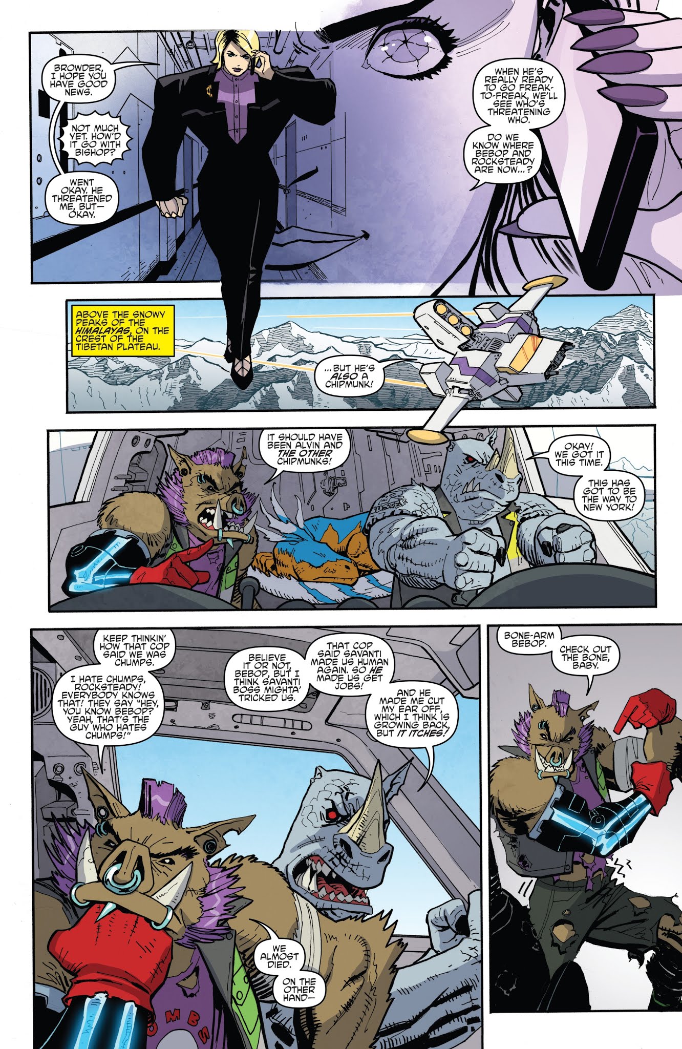 Read online Teenage Mutant Ninja Turtles: Bebop & Rocksteady Hit the Road comic -  Issue #4 - 7