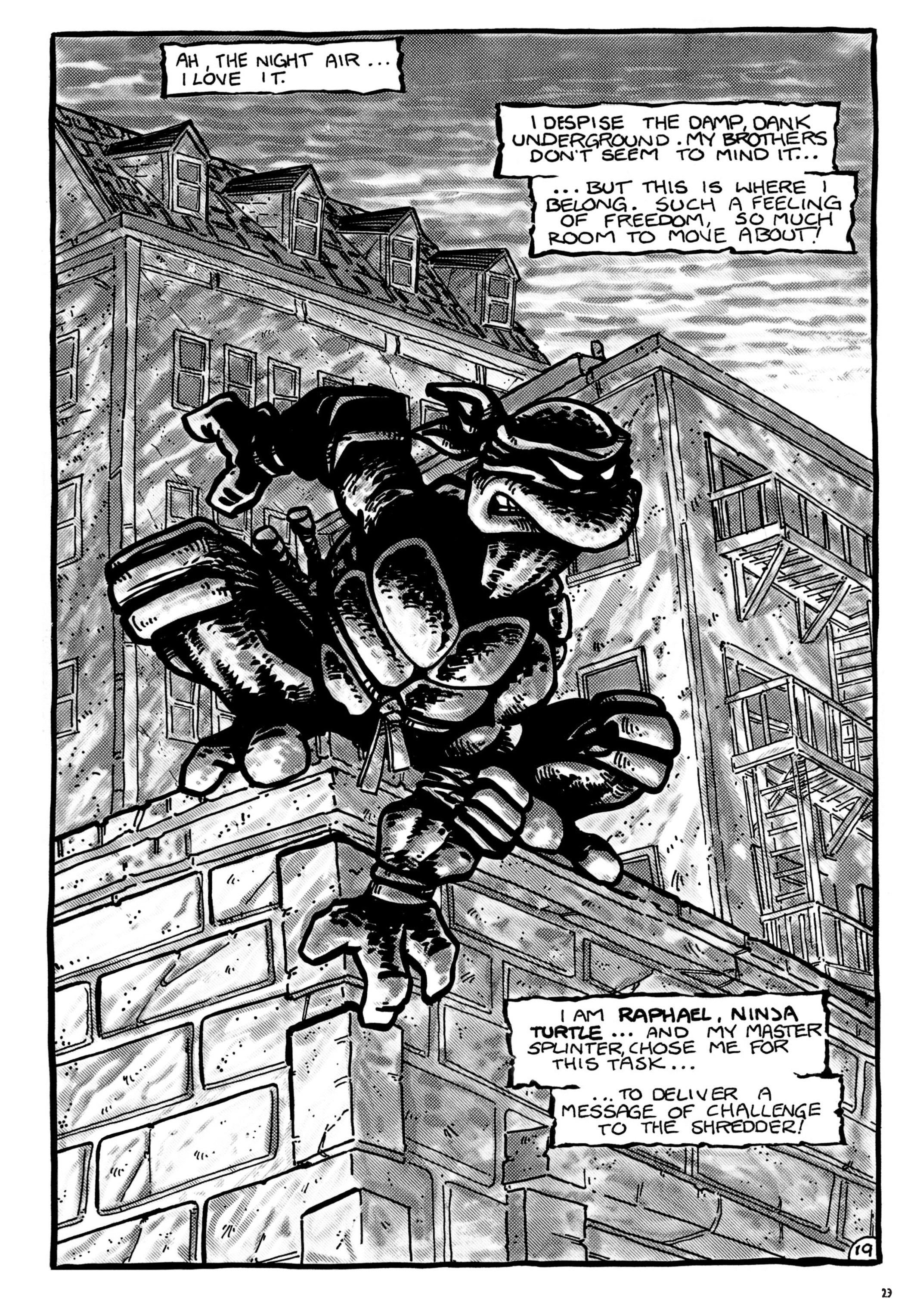 Read online Teenage Mutant Ninja Turtles: The Ultimate Collection comic -  Issue # TPB 1 (Part 1) - 23