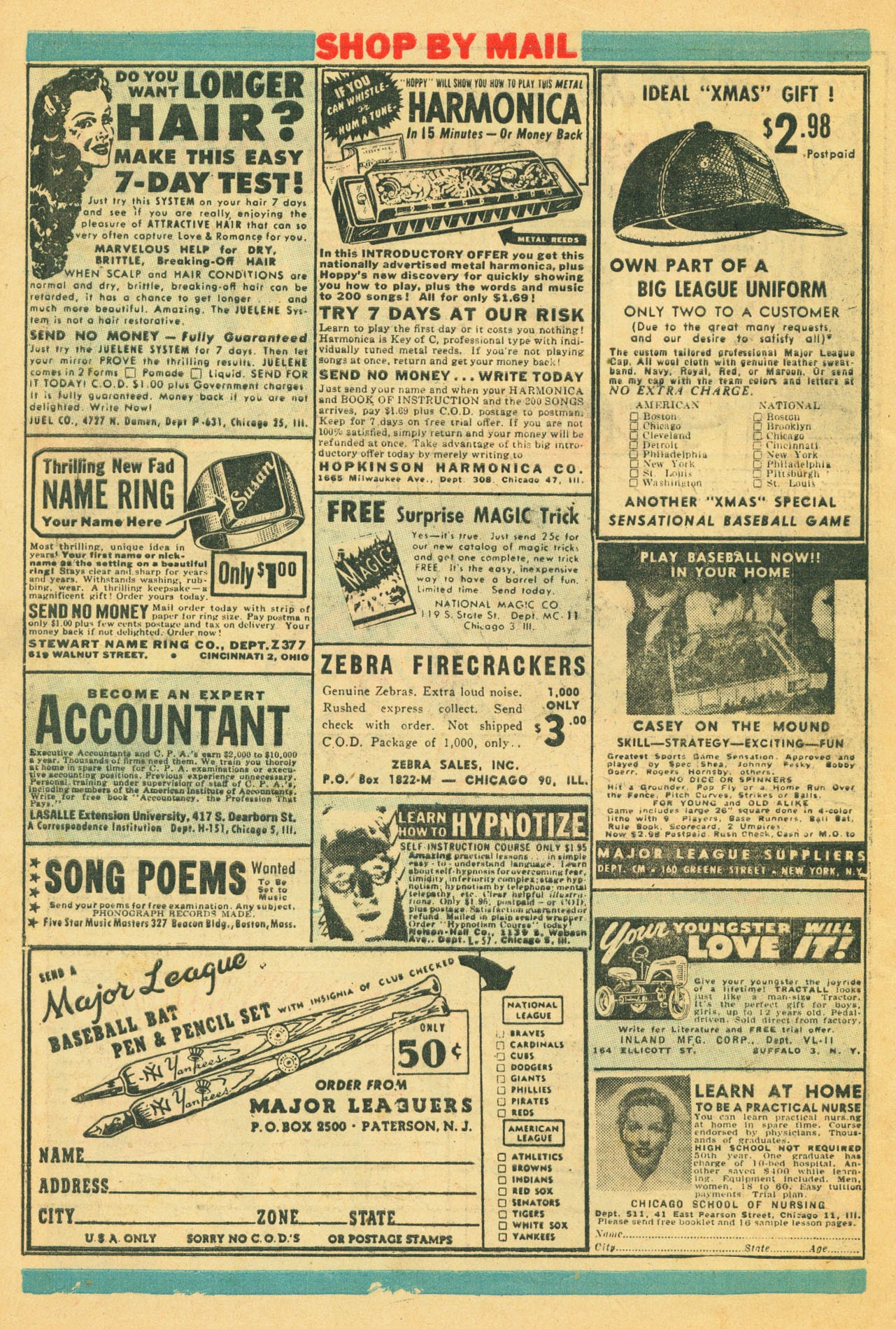 Read online Blaze the Wonder Collie comic -  Issue #3 - 32