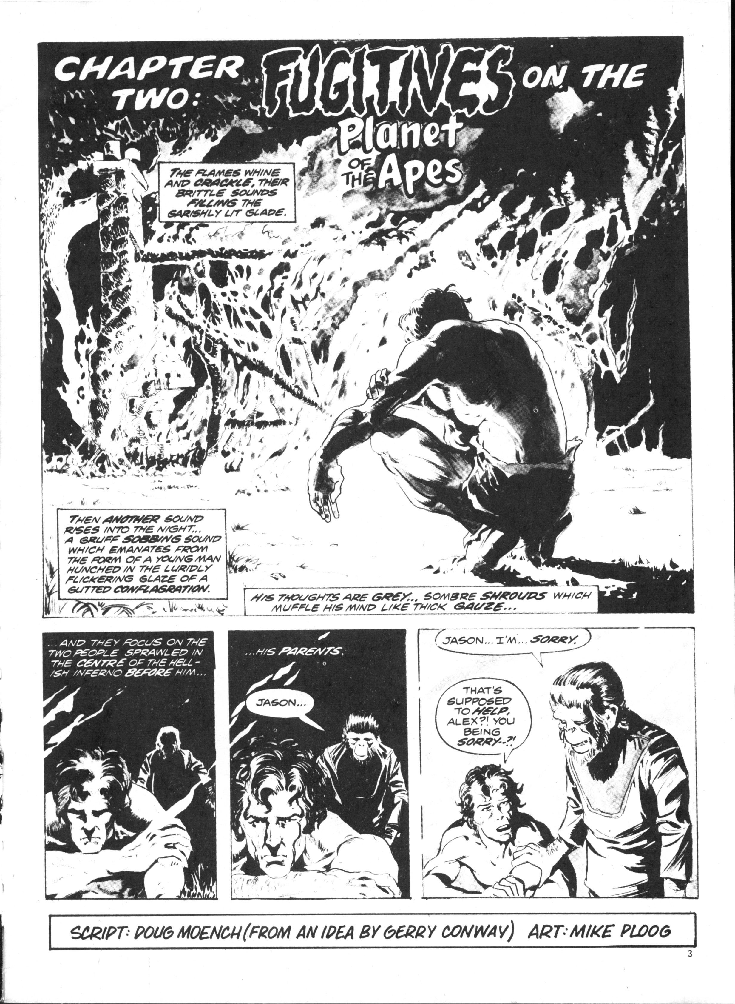 Read online Planet of the Apes (1974) comic -  Issue #13 - 3