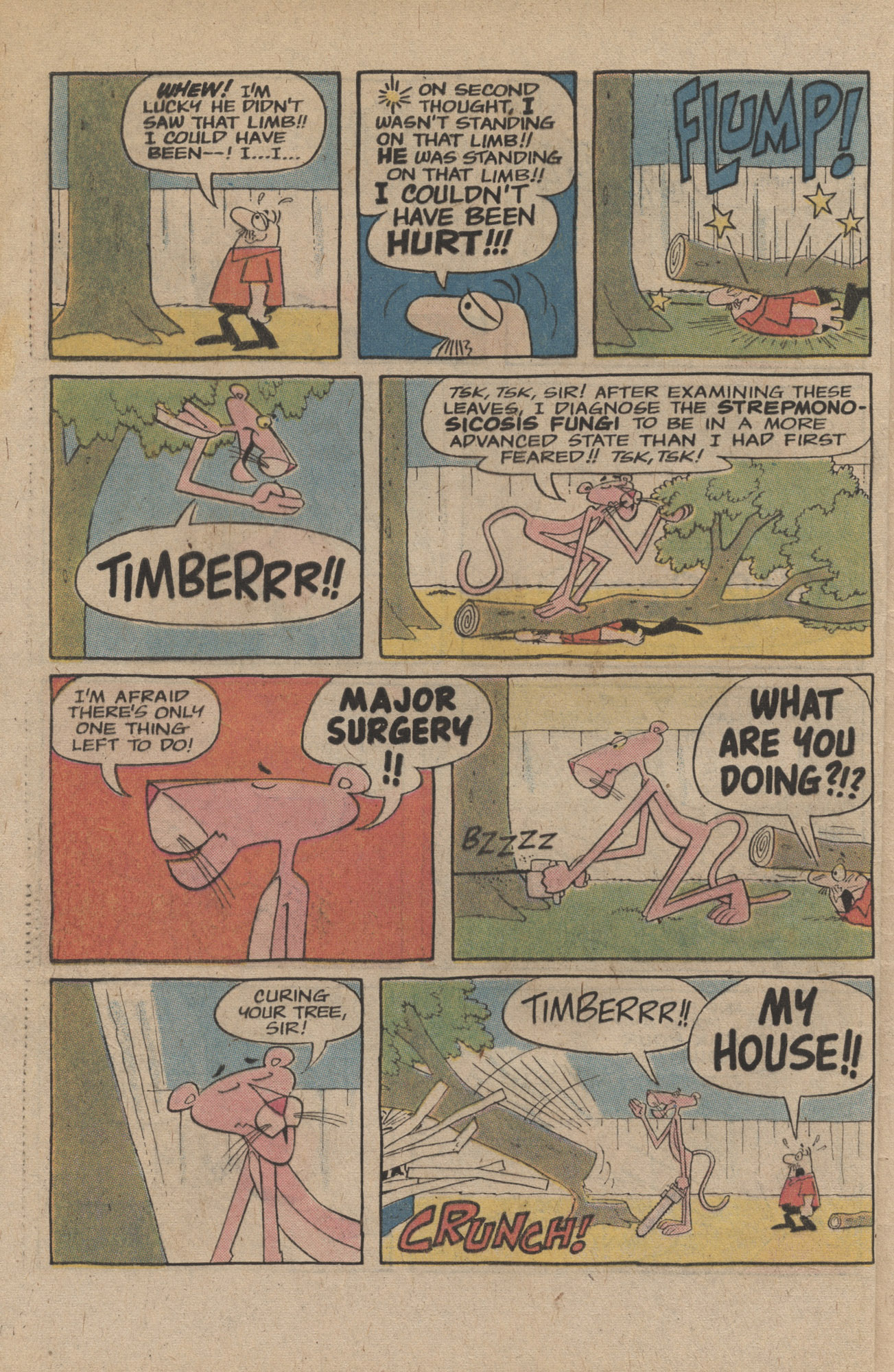 Read online The Pink Panther (1971) comic -  Issue #48 - 32