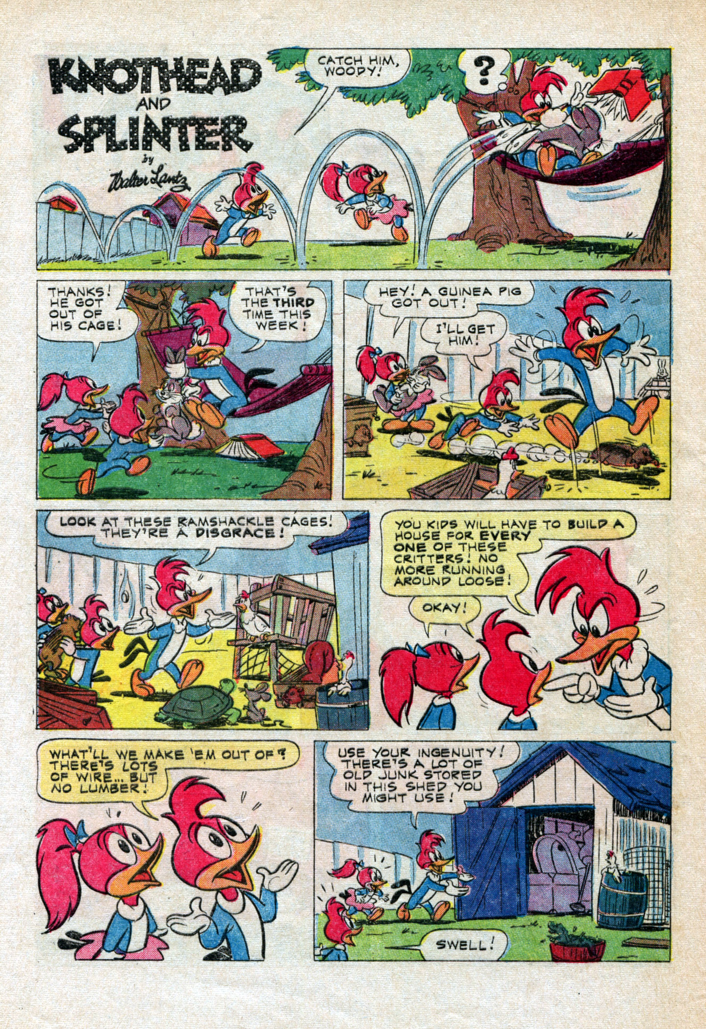 Read online Walter Lantz Woody Woodpecker (1962) comic -  Issue #93 - 32