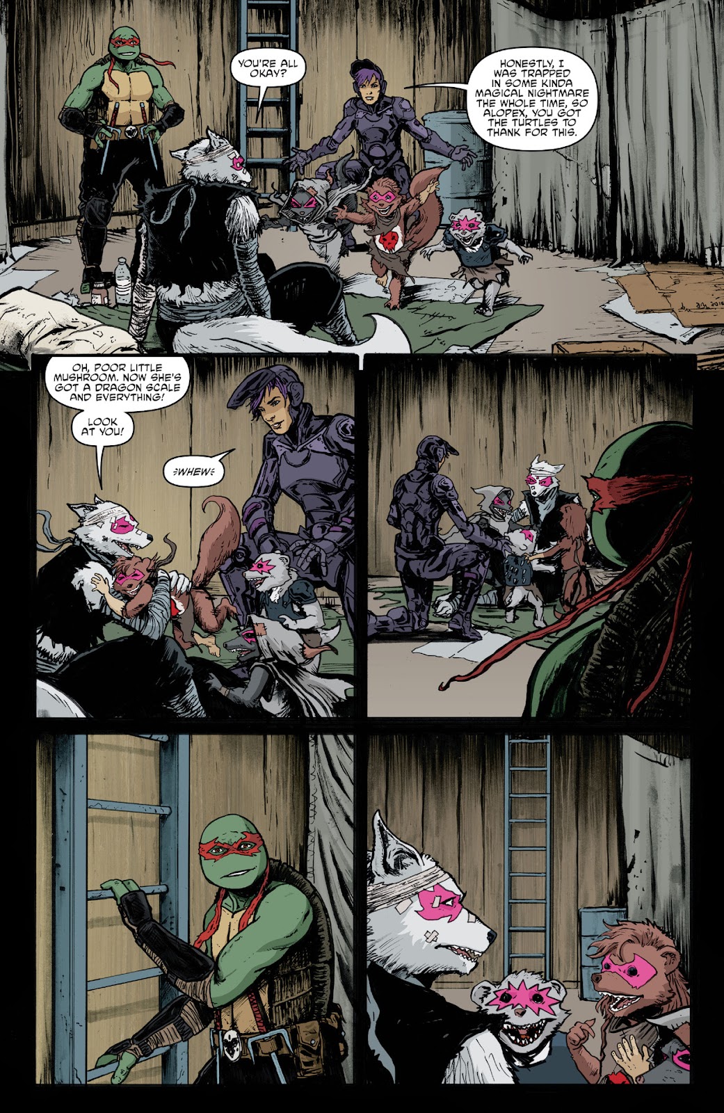 Teenage Mutant Ninja Turtles (2011) issue 144 - Page 14