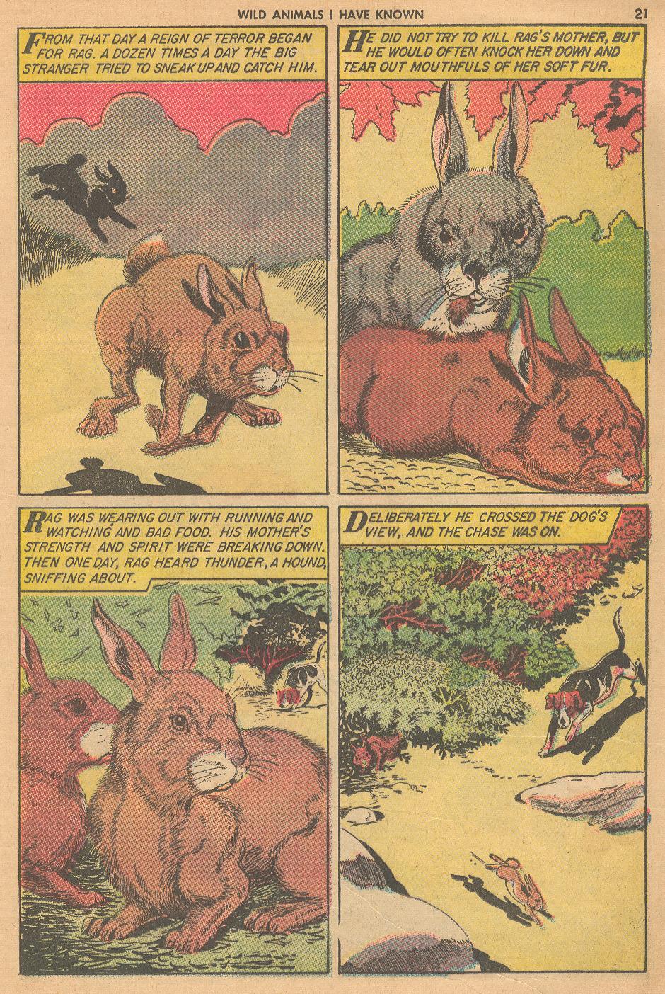 Read online Classics Illustrated comic -  Issue #152 - 23