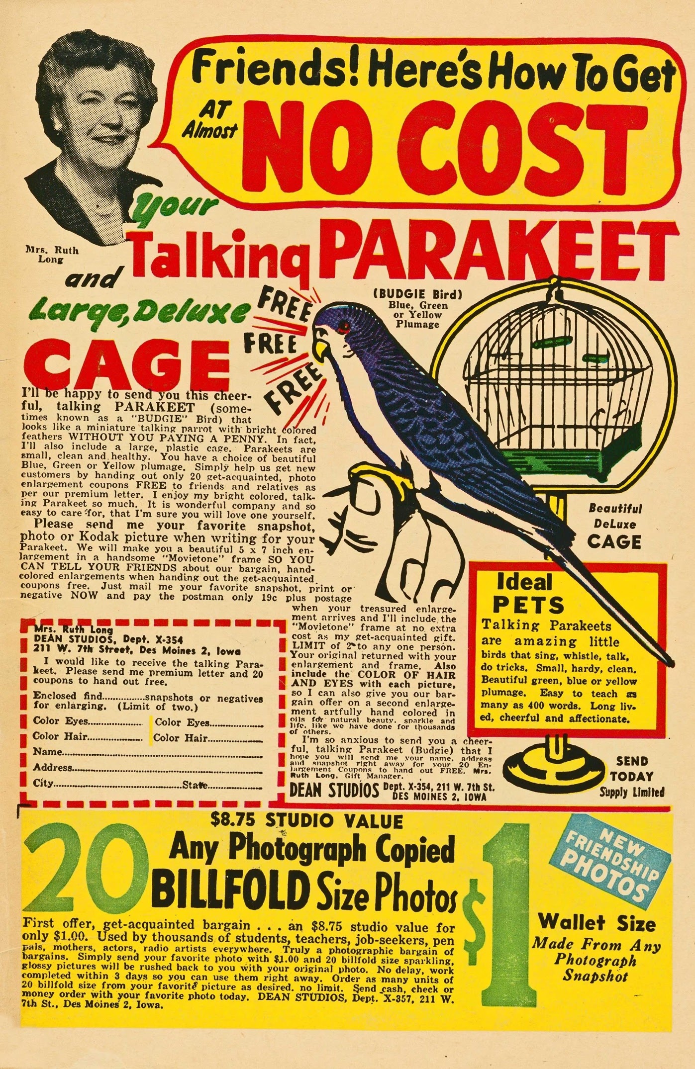 Read online Felix the Cat (1951) comic -  Issue #45 - 36