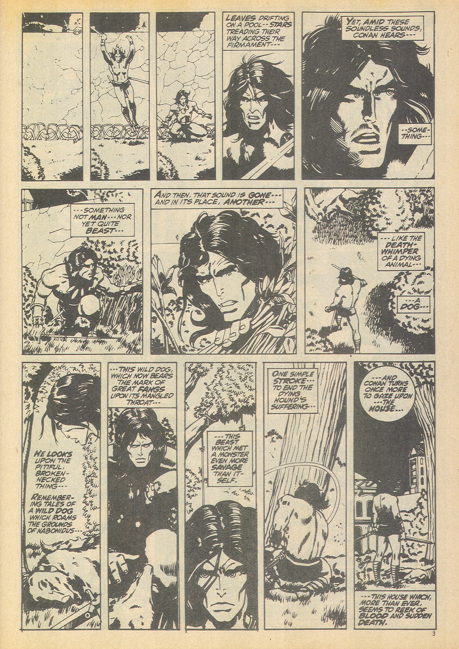 Read online The Savage Sword of Conan (1975) comic -  Issue #12 - 4