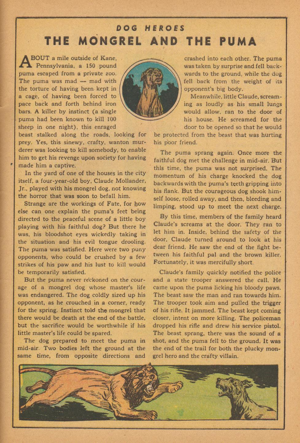 Read online Classics Illustrated comic -  Issue #66 - 49
