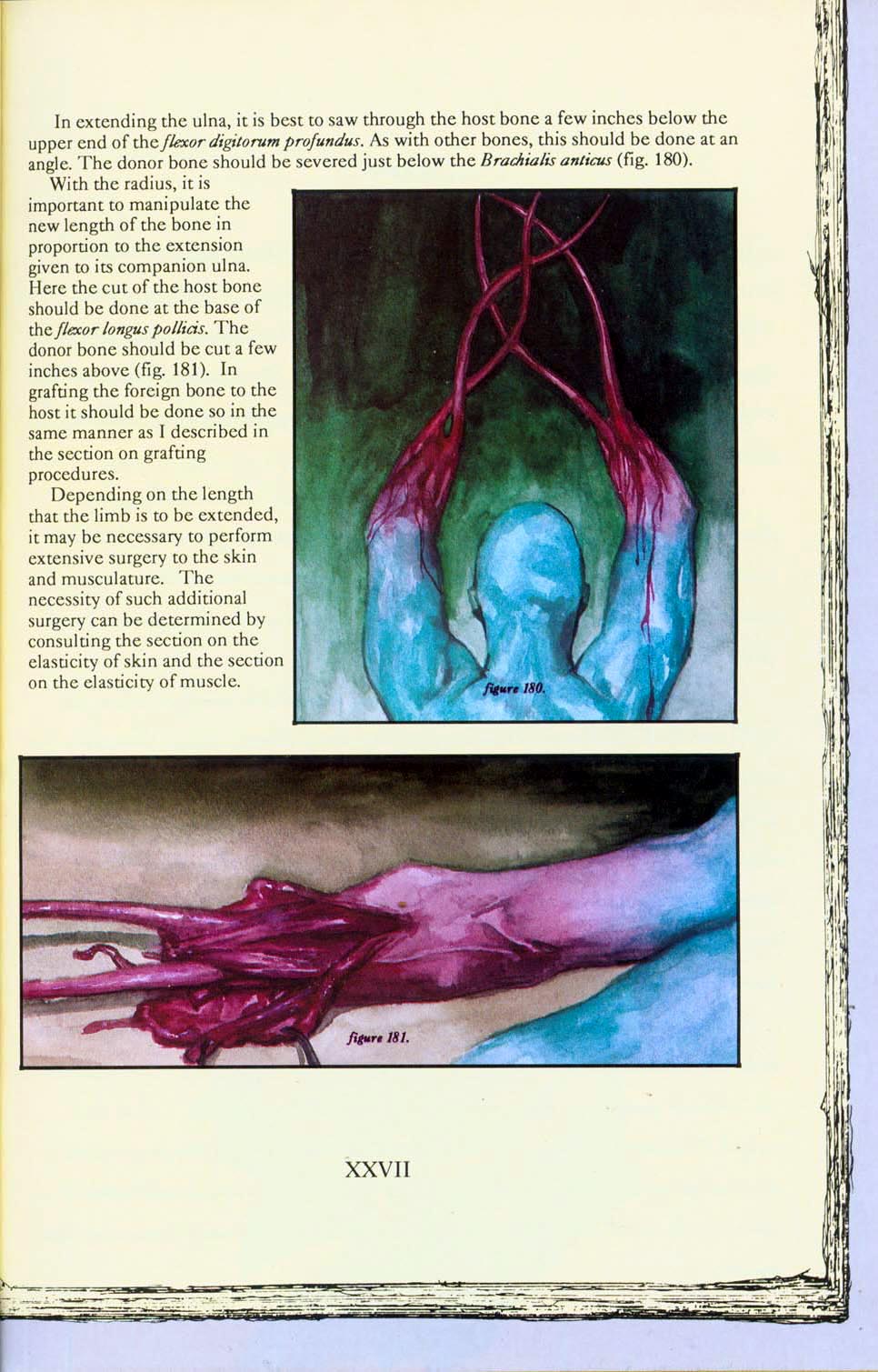 Read online Clive Barker's Book of the Damned: A Hellraiser Companion comic -  Issue #3 - 17