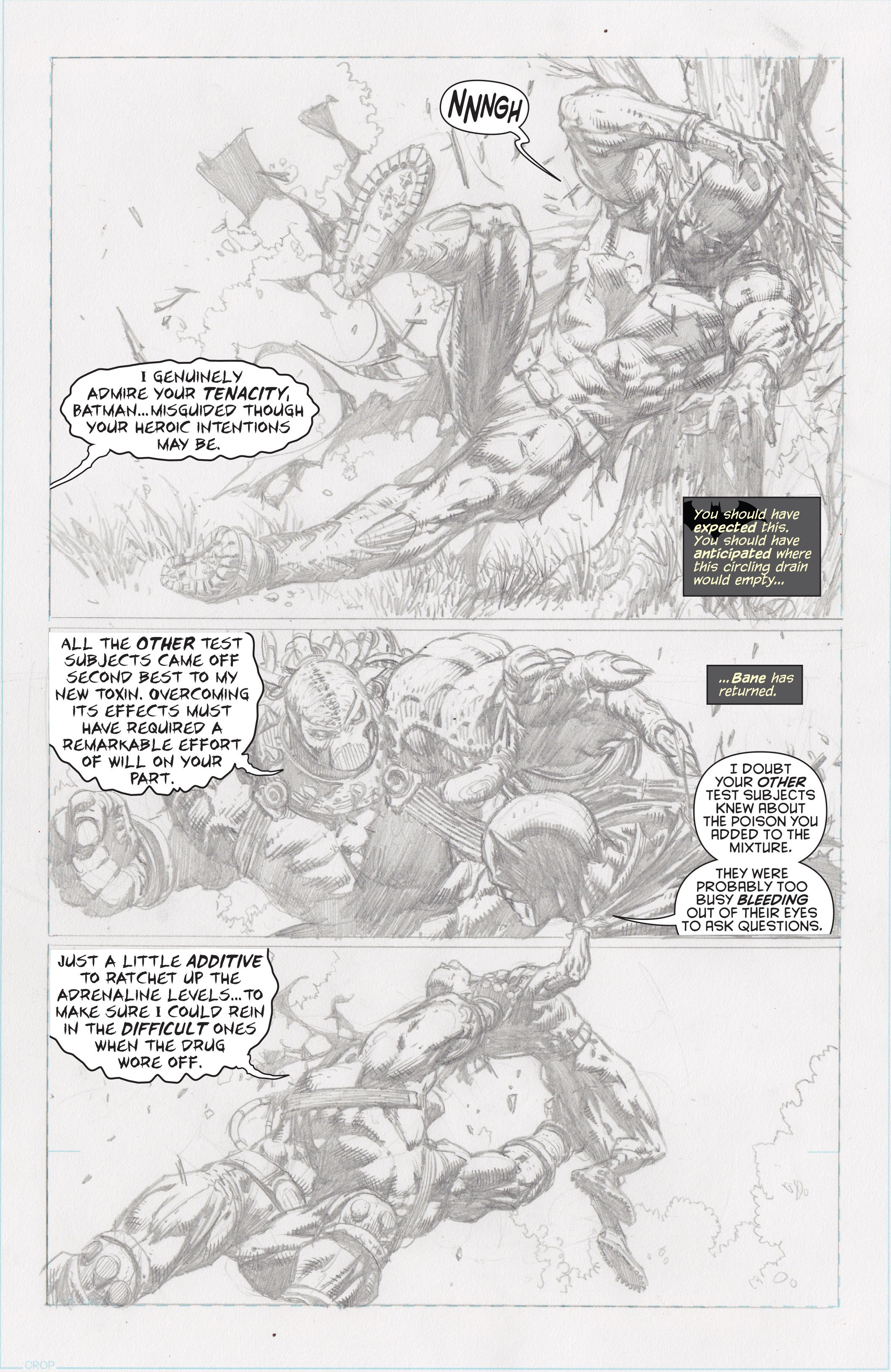 Read online Batman: The Dark Knight Unwrapped By David Finch Deluxe Edition comic -  Issue # TPB (Part 3) - 9