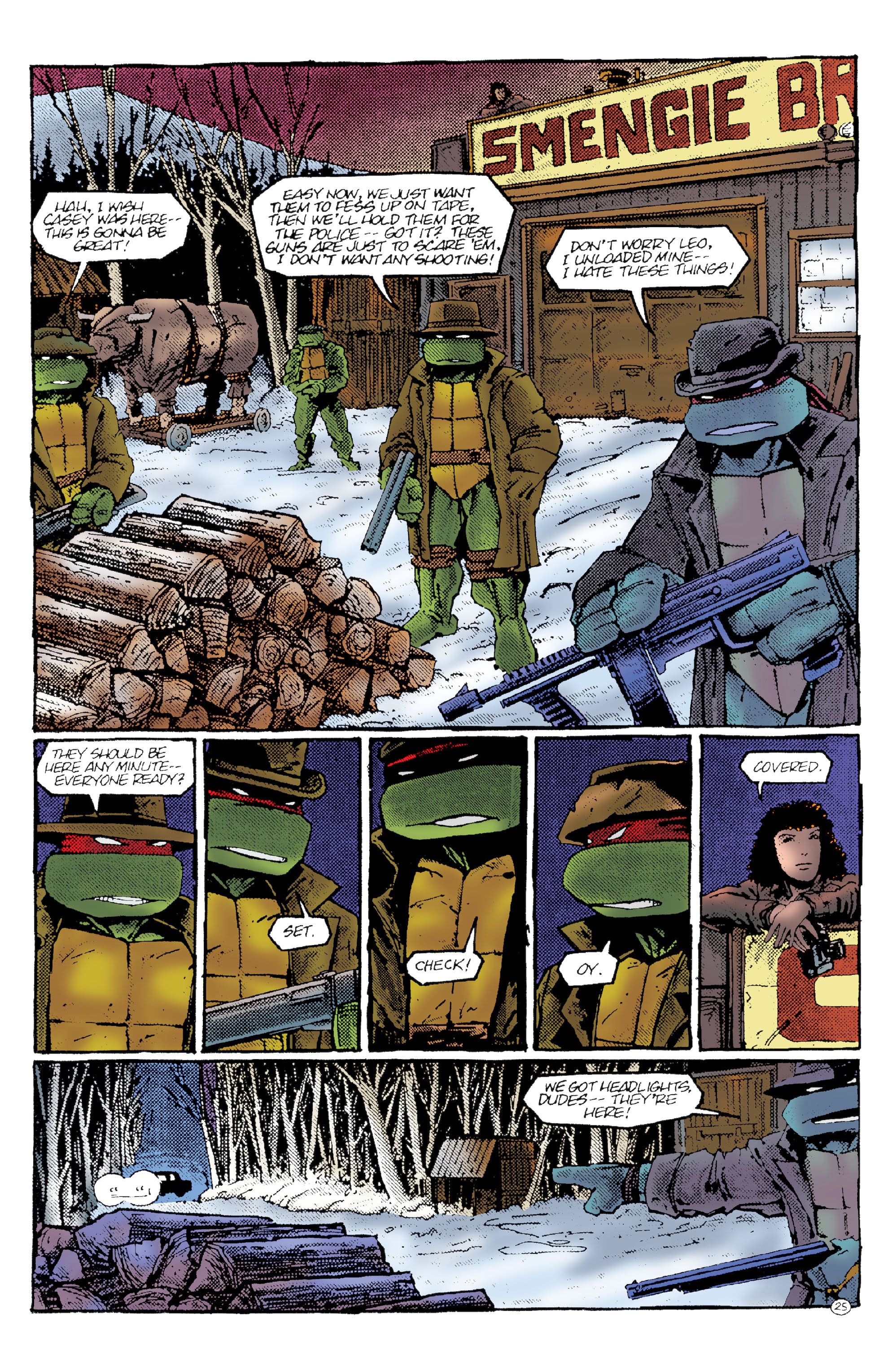 Read online Teenage Mutant Ninja Turtles: Best Of comic -  Issue # Casey Jones - 28