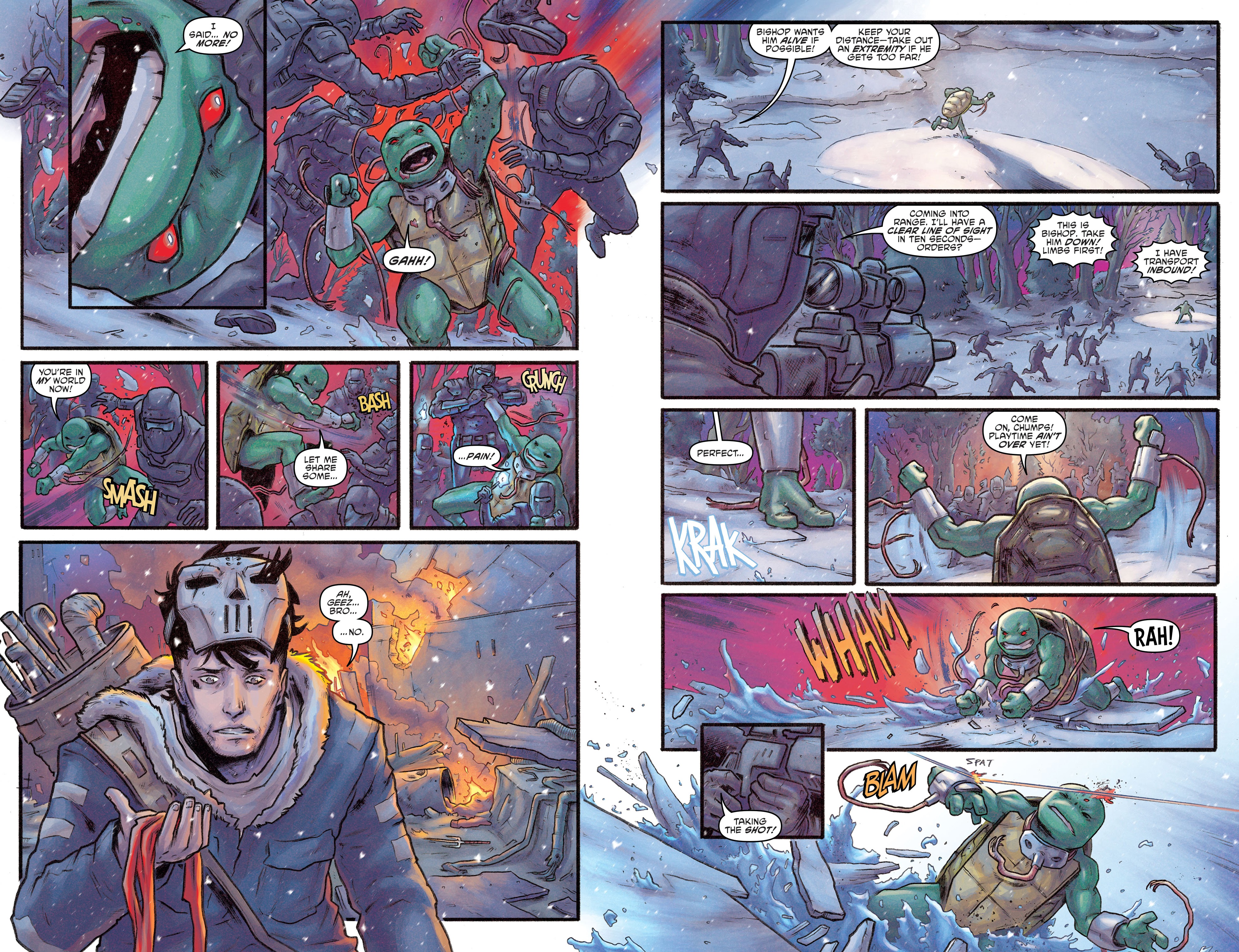 Read online Teenage Mutant Ninja Turtles: Best Of comic -  Issue # Raphael - 71