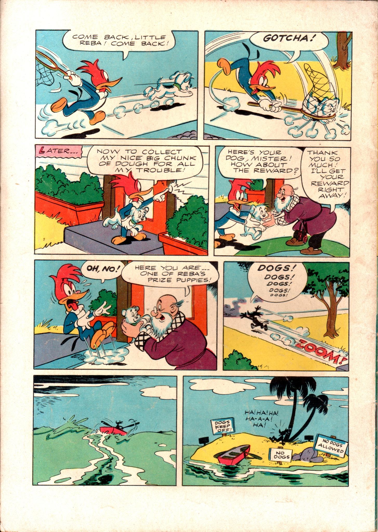 Read online Walter Lantz Woody Woodpecker (1952) comic -  Issue #24 - 36