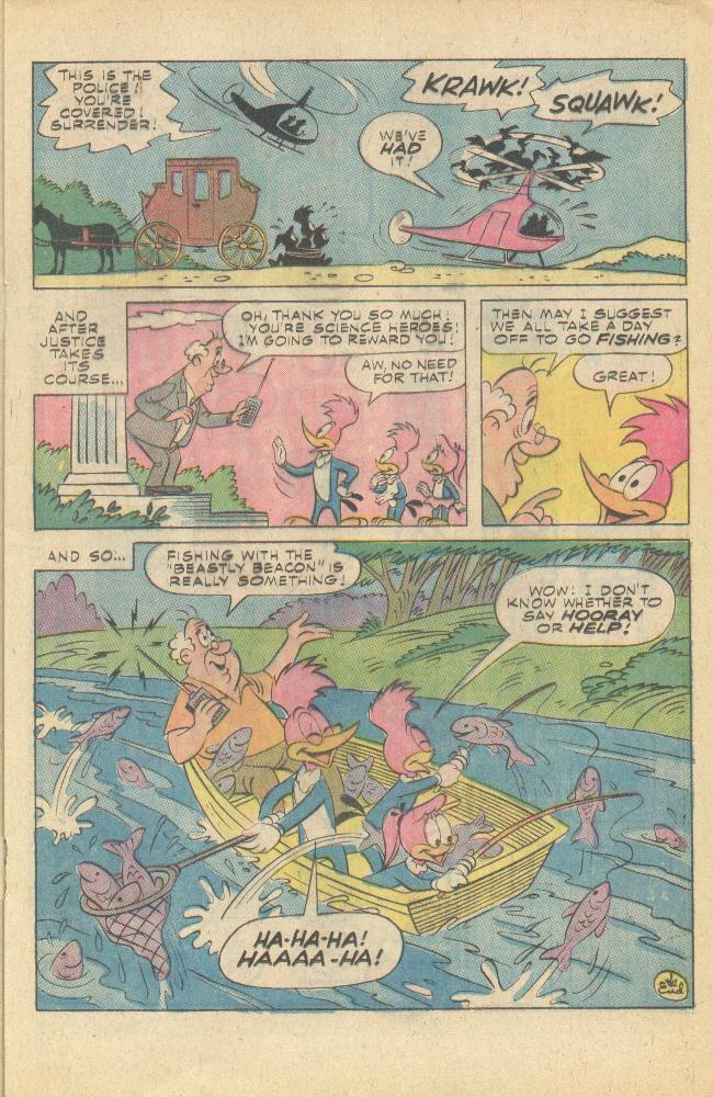 Read online Walter Lantz Woody Woodpecker (1962) comic -  Issue #149 - 14