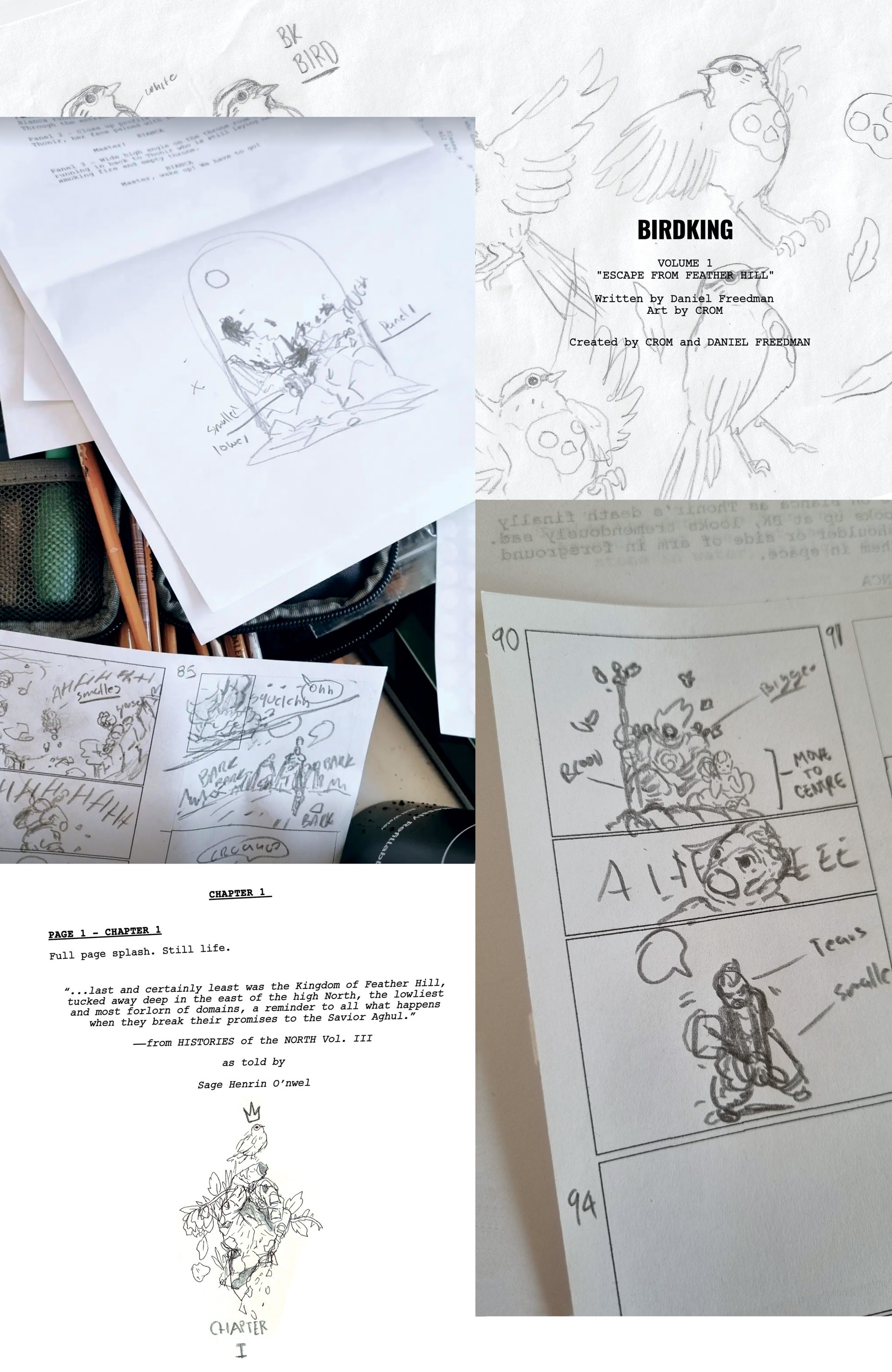 Read online Birdking comic -  Issue # TPB (Part 2) - 50