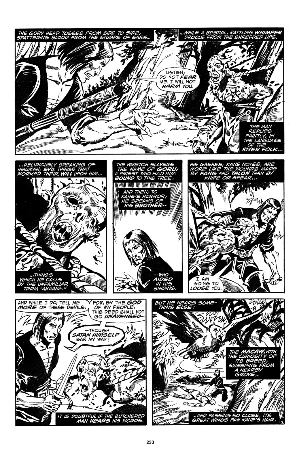 Read online The Saga of Solomon Kane comic -  Issue # TPB - 233