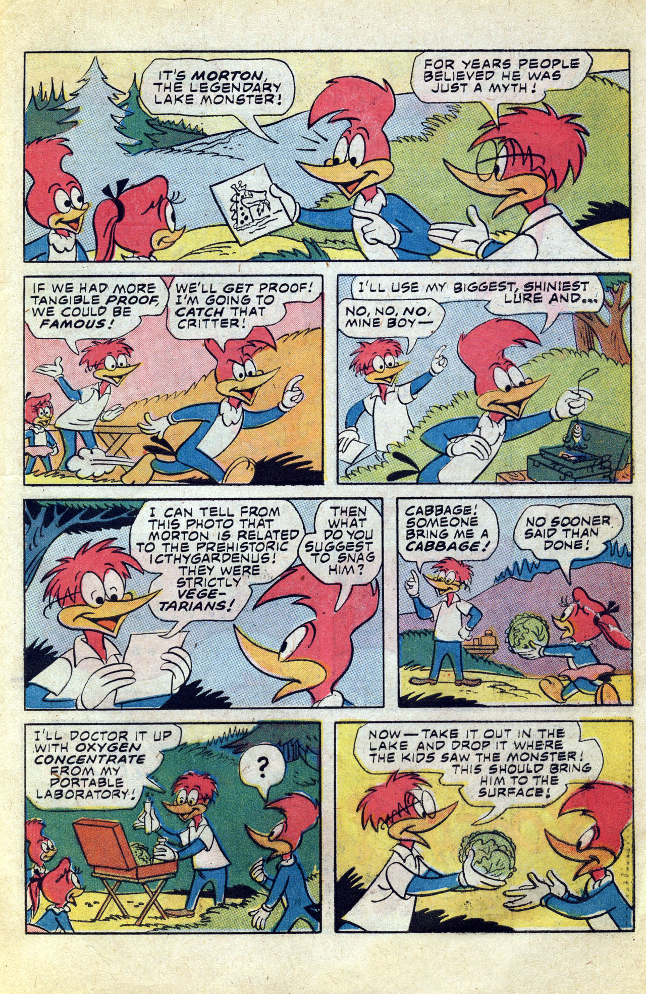 Read online Walter Lantz Woody Woodpecker (1962) comic -  Issue #156 - 27