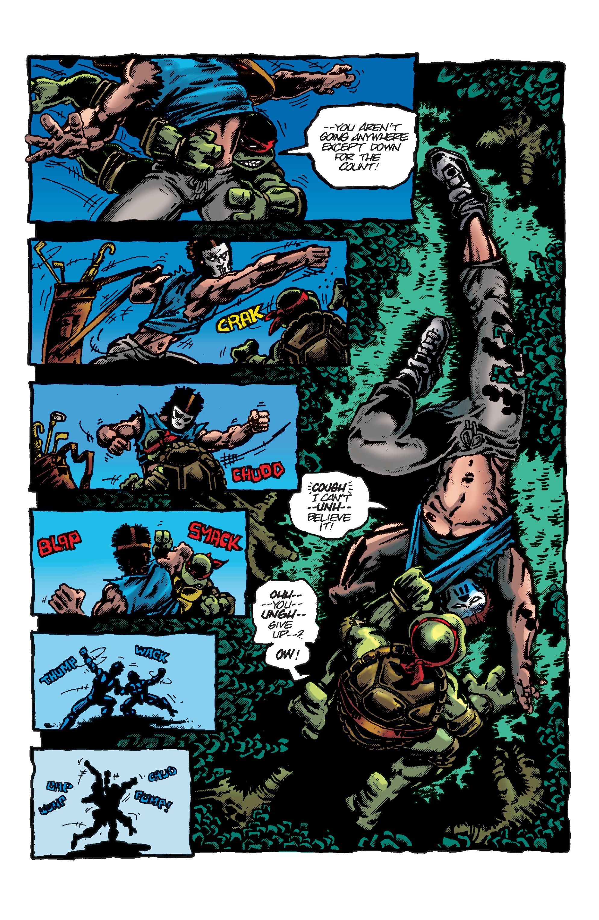 Read online Teenage Mutant Ninja Turtles: Best Of comic -  Issue # Raphael - 26