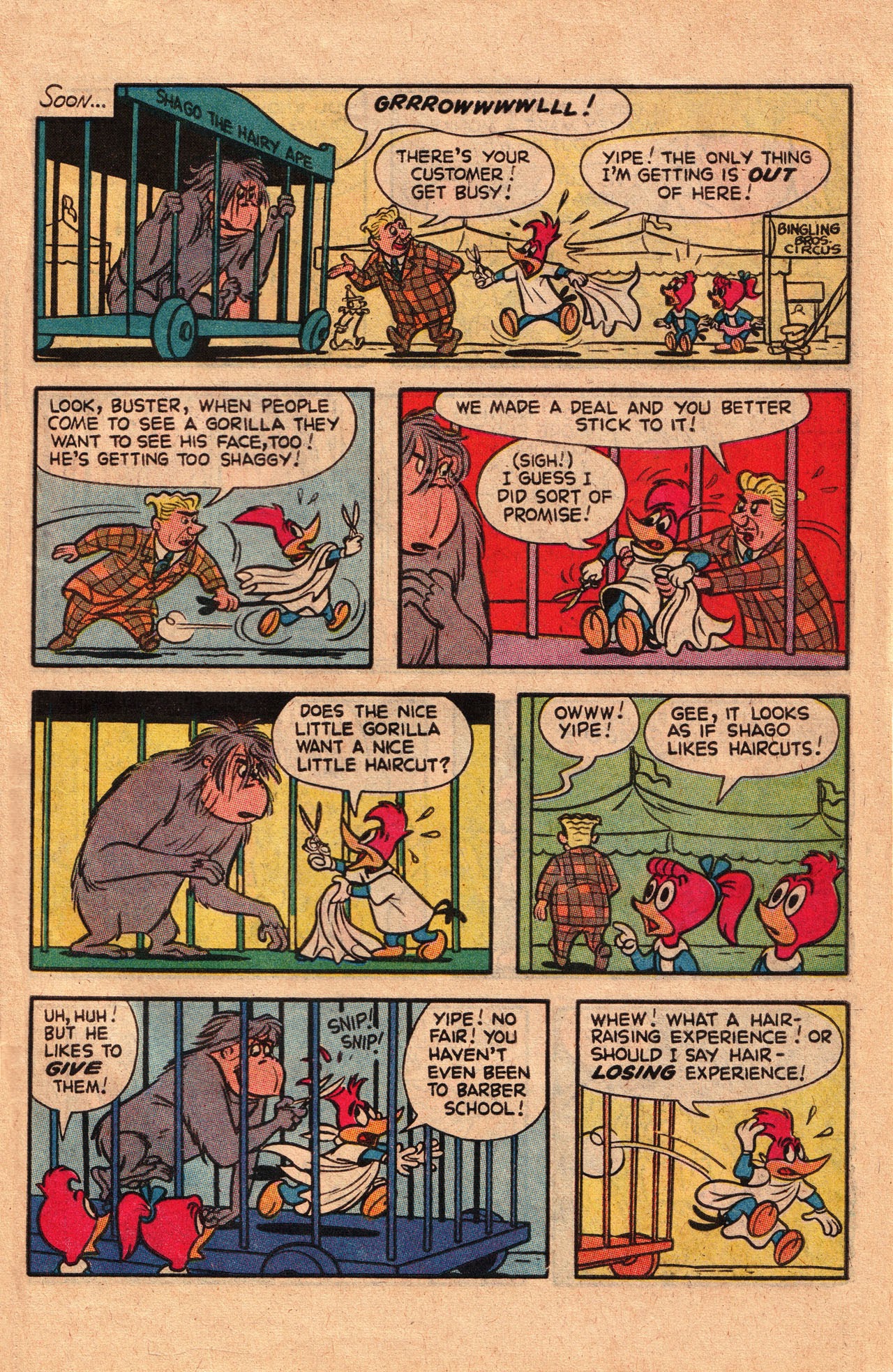 Read online Walter Lantz Woody Woodpecker (1962) comic -  Issue #199 - 31