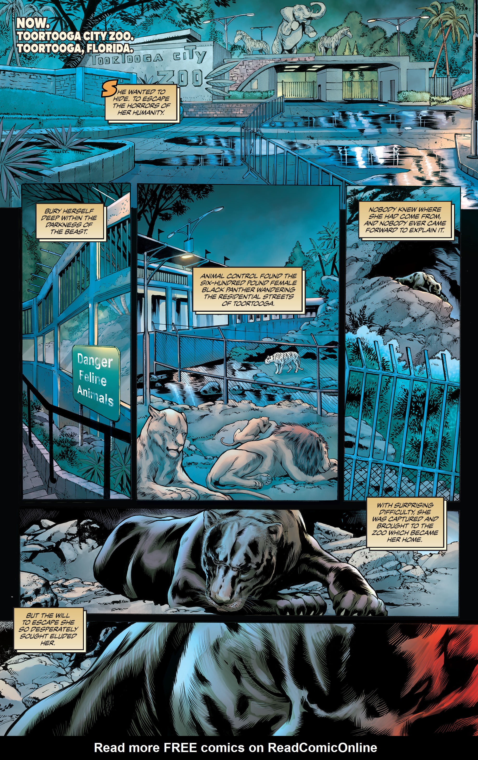 Read online Pantha (2022) comic -  Issue #1 - 10