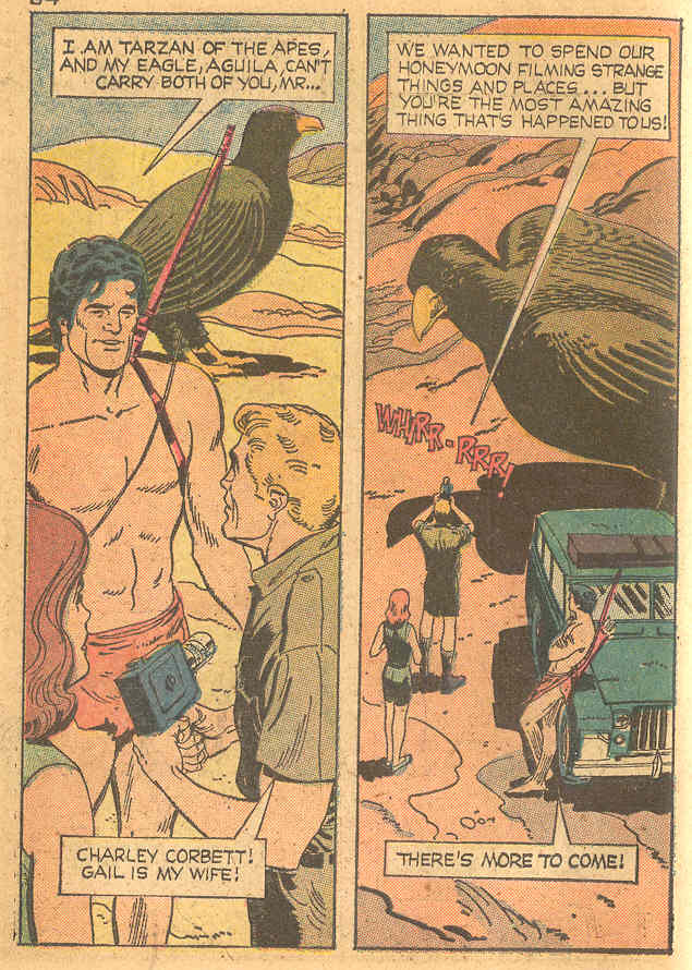 Read online Golden Comics Digest comic -  Issue #9 - 42