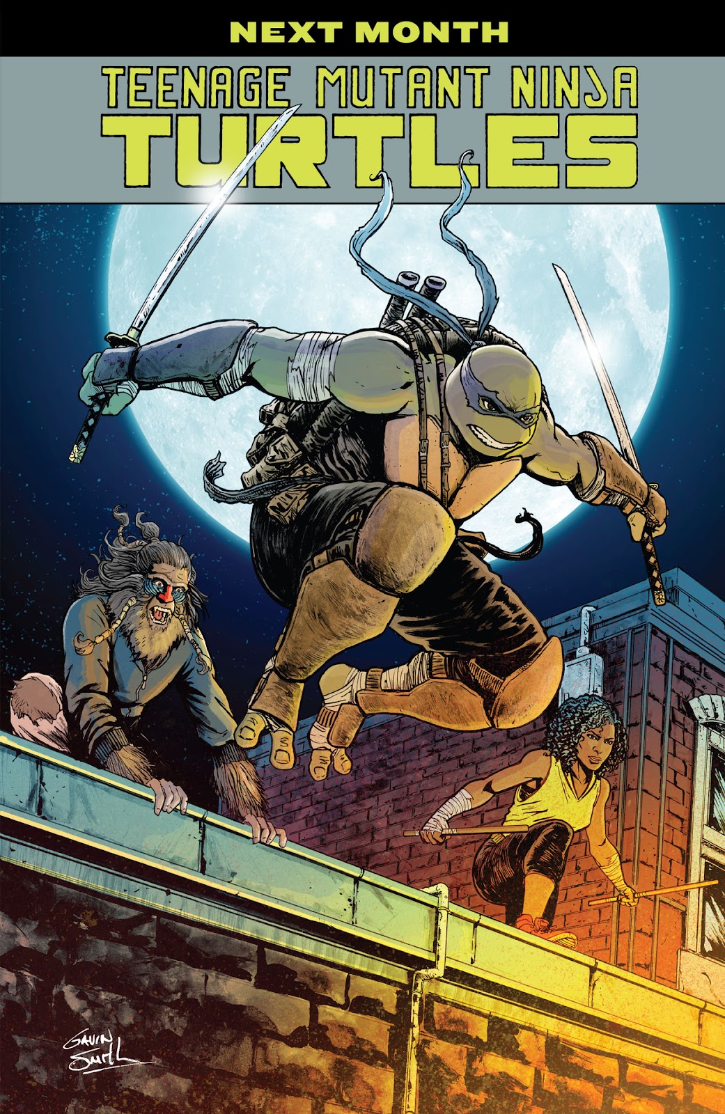 Teenage Mutant Ninja Turtles (2011) issue 143 - Page 23