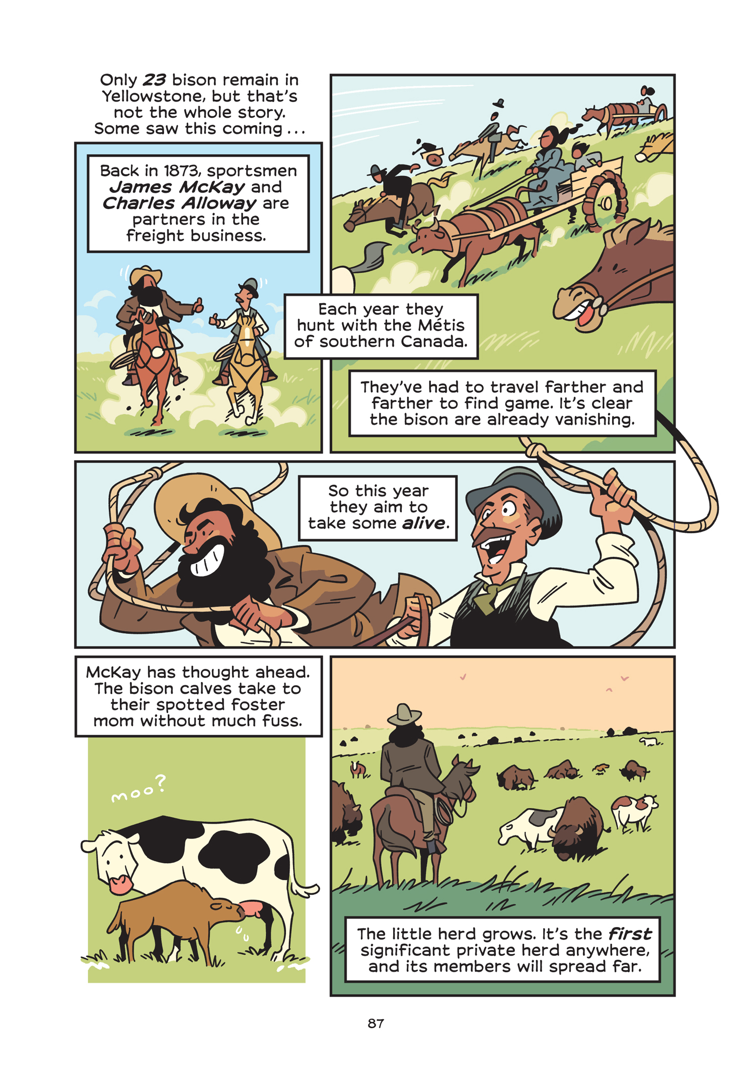 Read online History Comics comic -  Issue # The American Bison - The Buffalos Survival Tale - 93