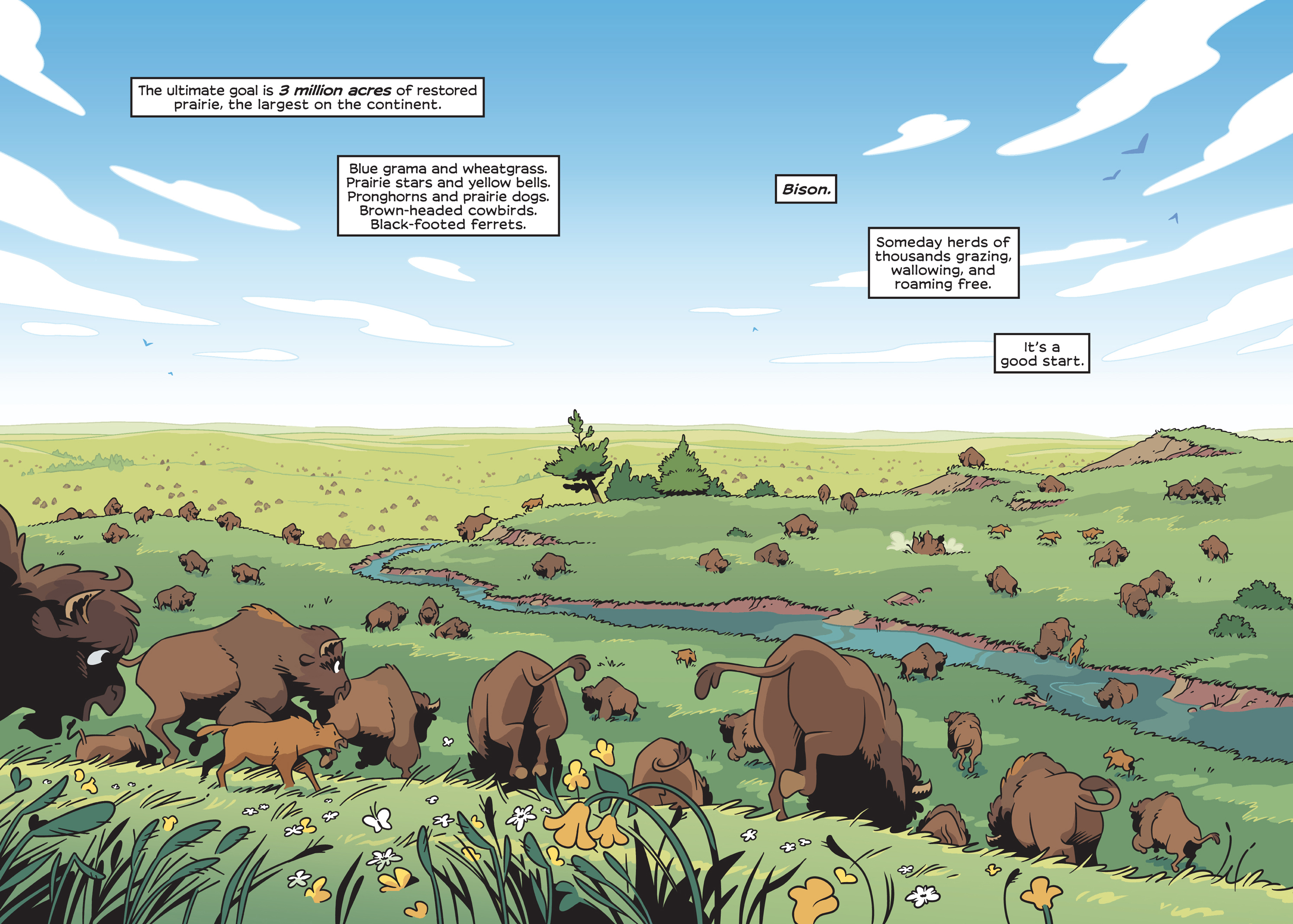 Read online History Comics comic -  Issue # The American Bison - The Buffalos Survival Tale - 124