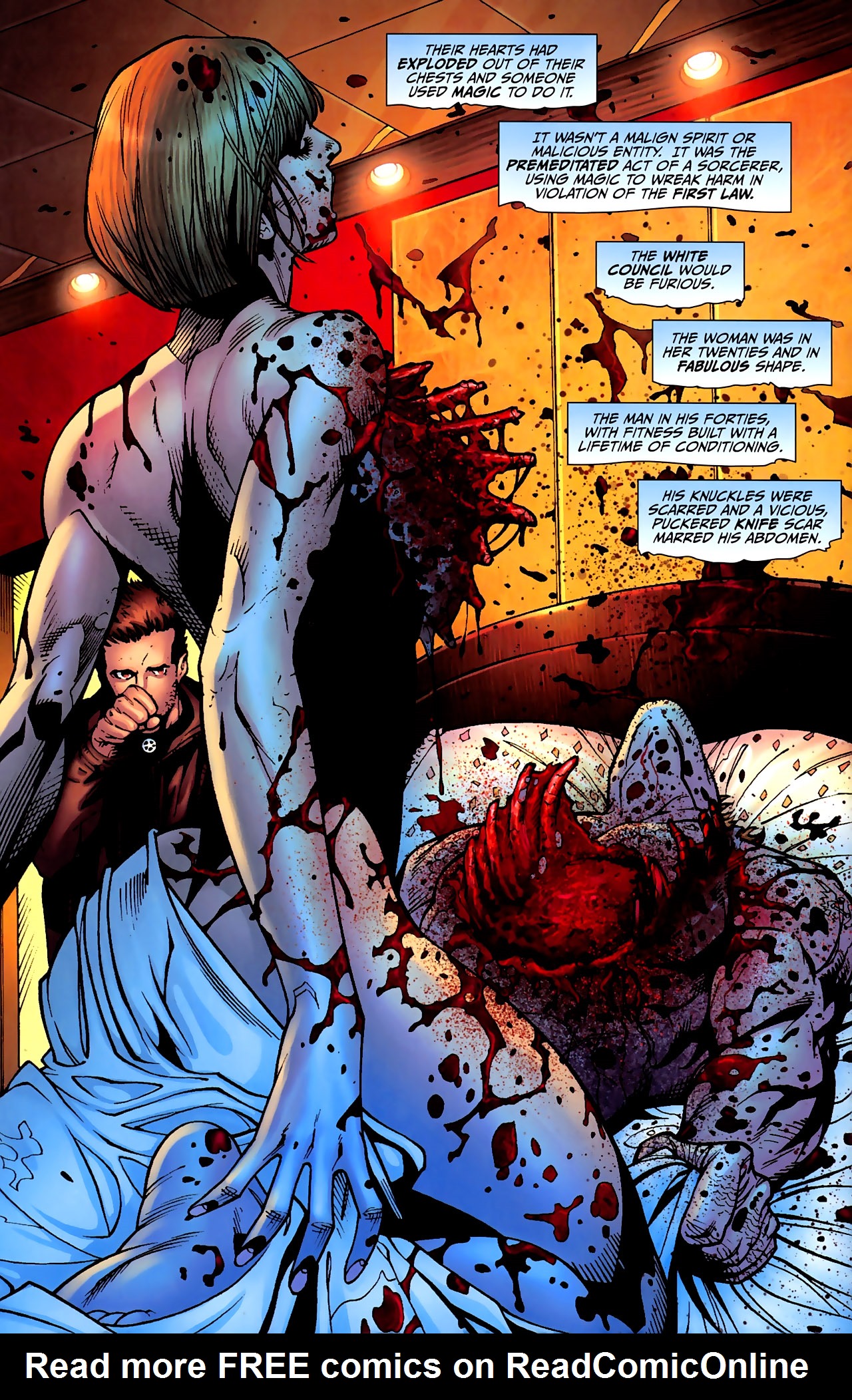 Read online Jim Butcher's The Dresden Files: Storm Front comic -  Issue #1 - 7