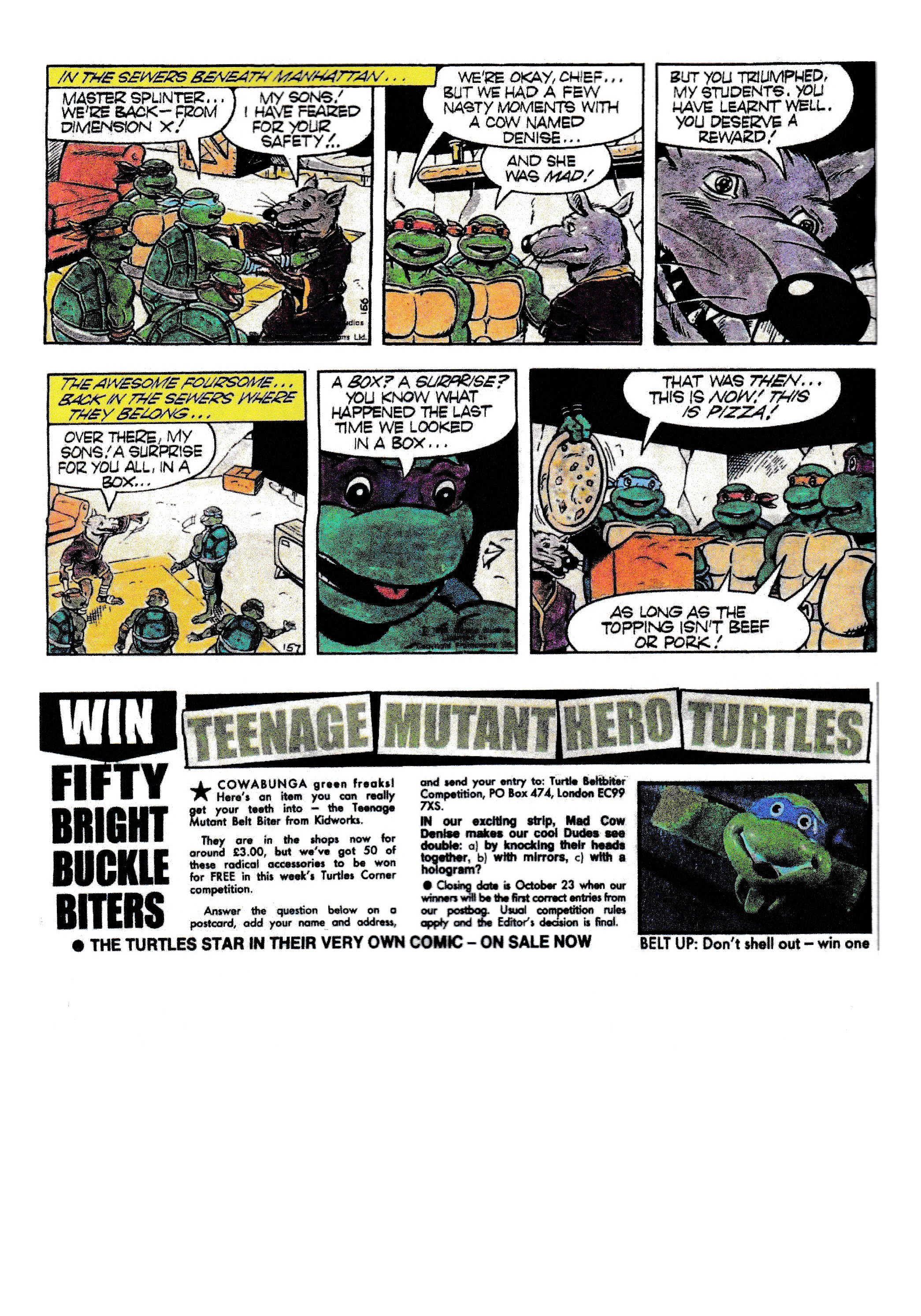 Read online Teenage Mutant Ninja Turtles: Complete Newspaper Daily Comic Strip Collection comic -  Issue # TPB 1 - 47