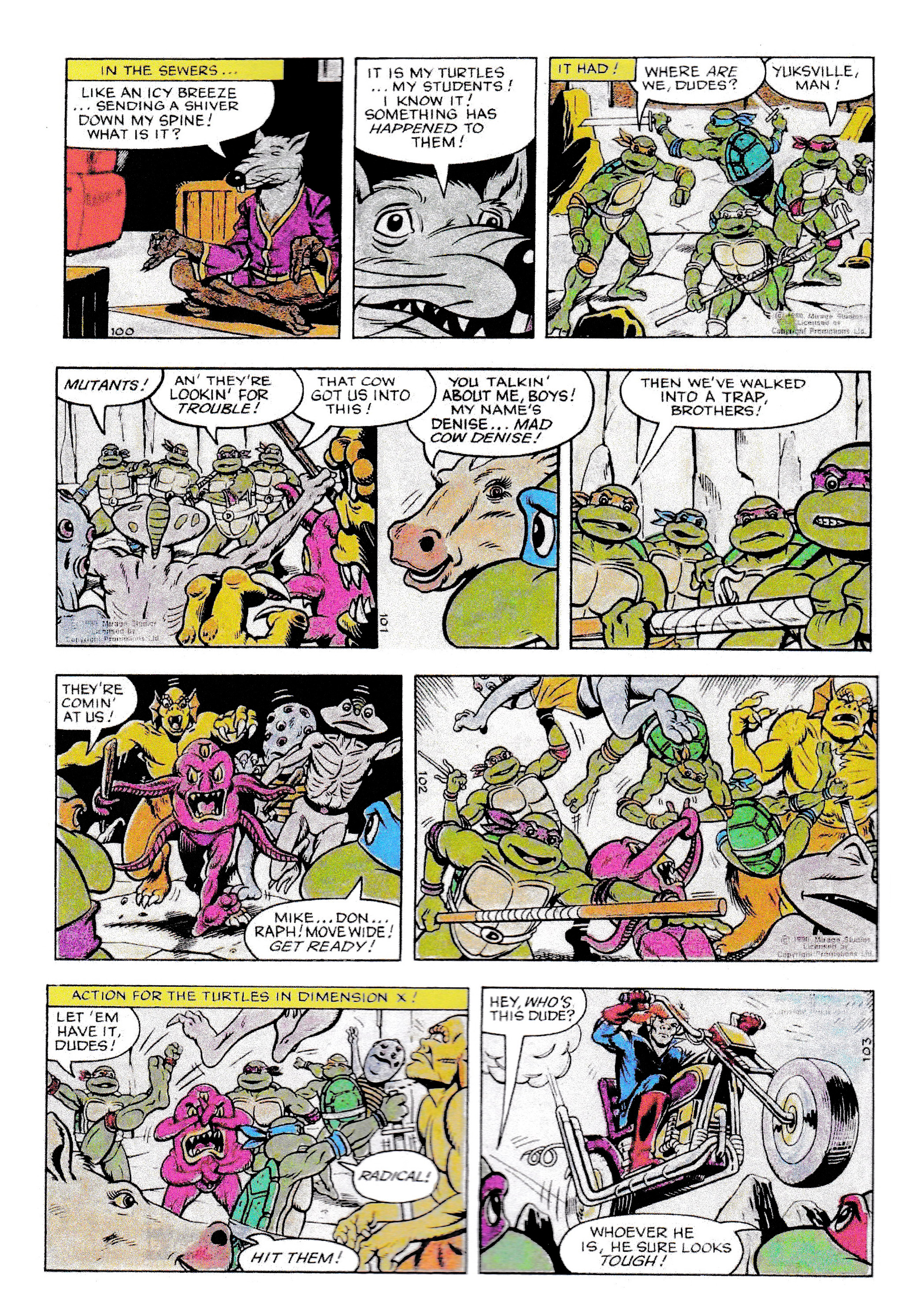 Read online Teenage Mutant Ninja Turtles: Complete Newspaper Daily Comic Strip Collection comic -  Issue # TPB 1 - 33