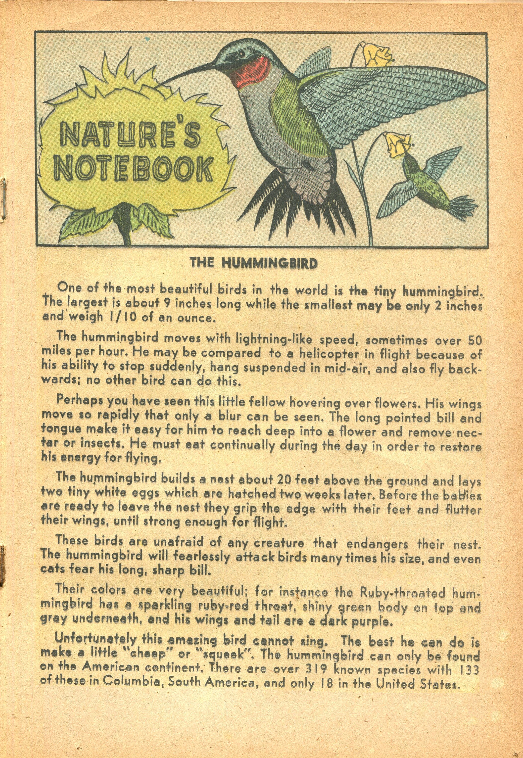 Read online Archie's Pal Jughead Comics comic -  Issue #46 - 19