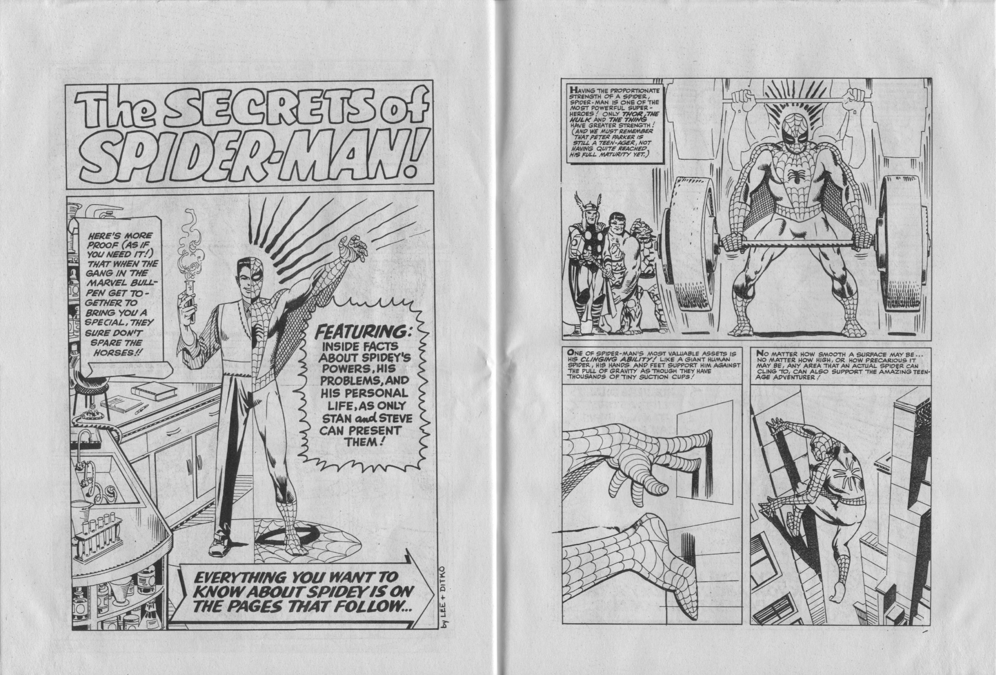 Read online Spider-Man Special comic -  Issue #1979S - 24