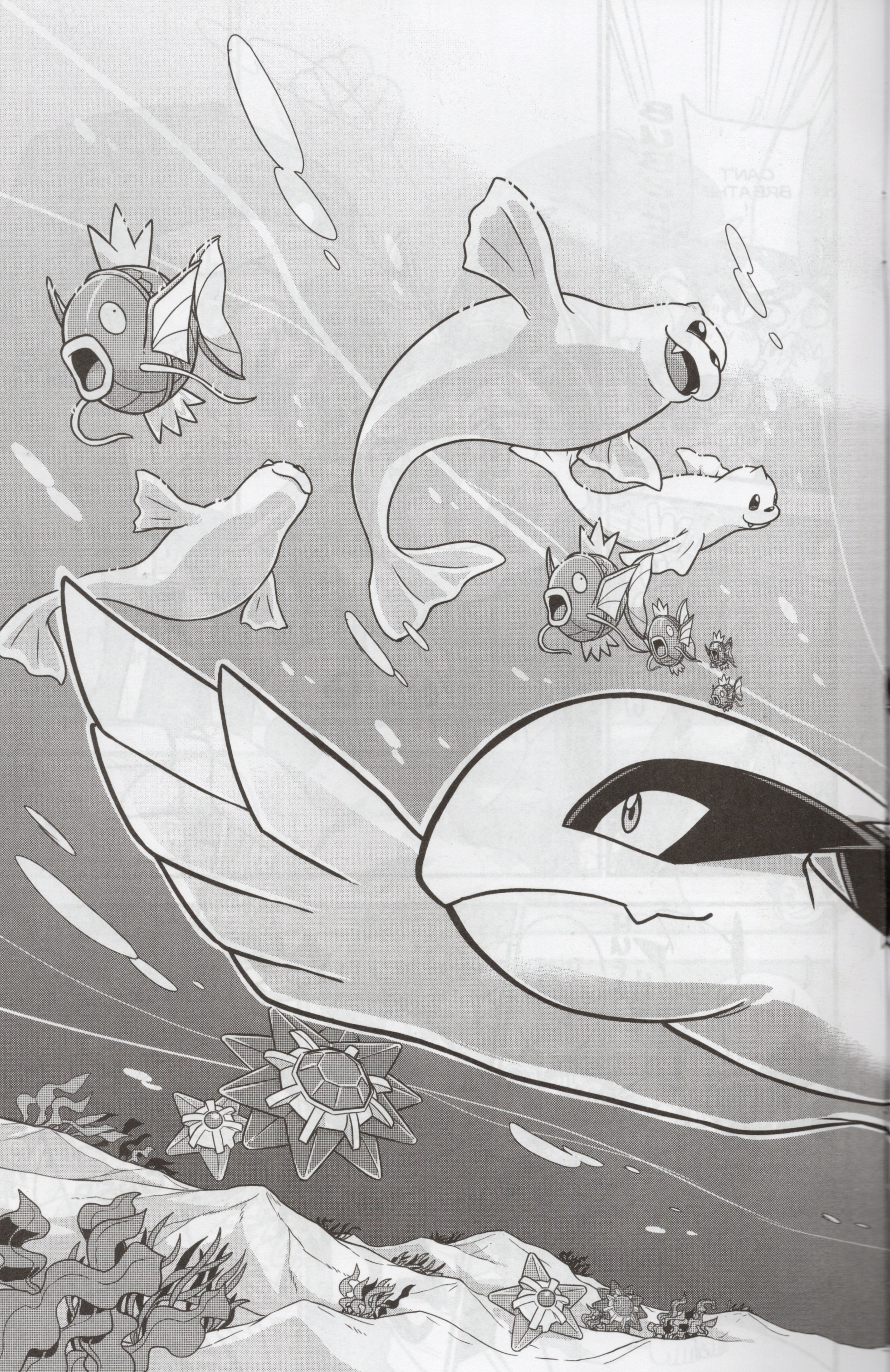 Read online Free Comic Book Day 2022 comic -  Issue # Viz Pokemon Journeys and X Y - 11