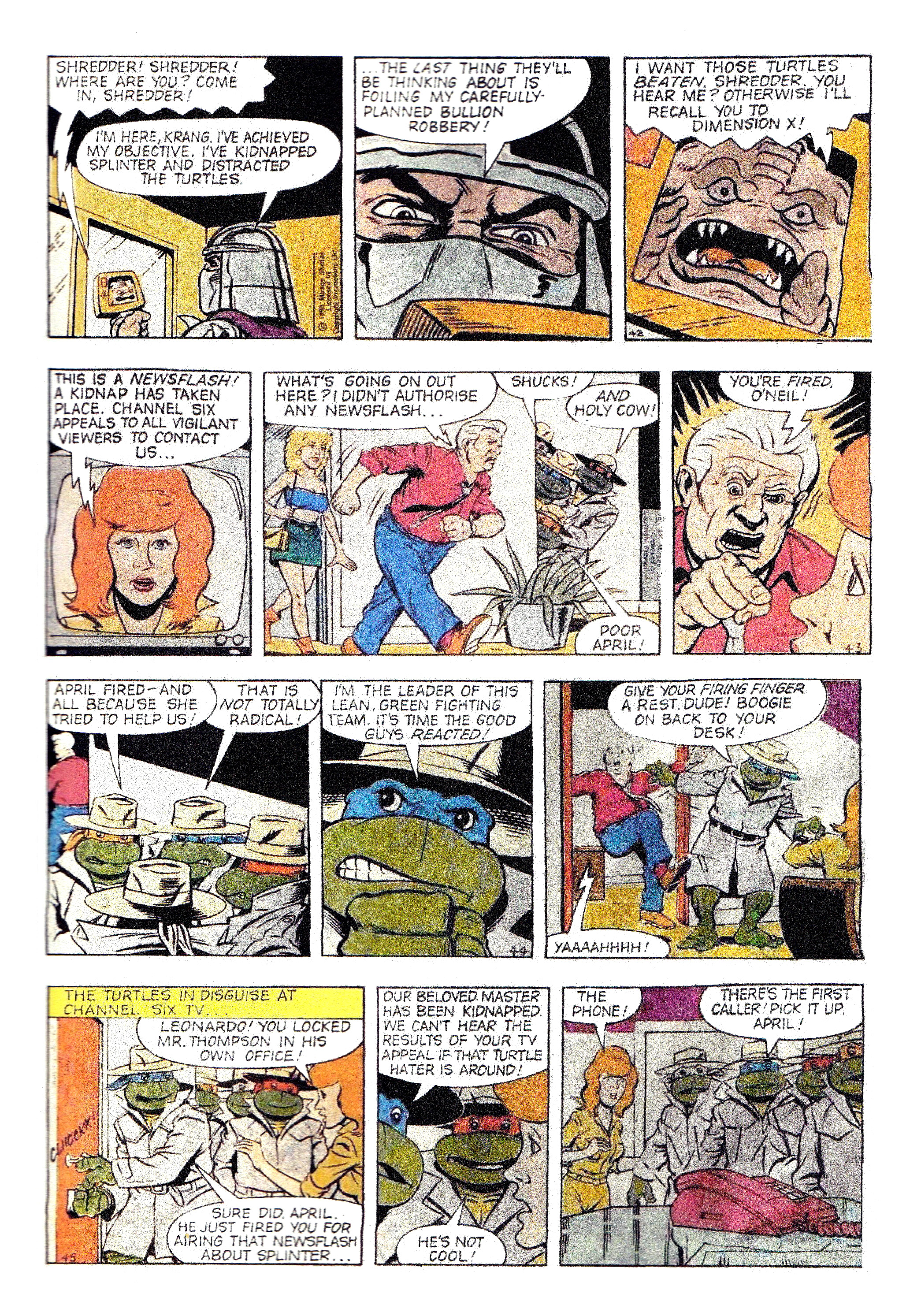 Read online Teenage Mutant Ninja Turtles: Complete Newspaper Daily Comic Strip Collection comic -  Issue # TPB 1 - 18