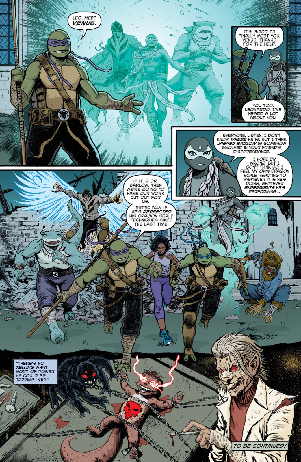 Teenage Mutant Ninja Turtles (2011) issue 142 - Page 22