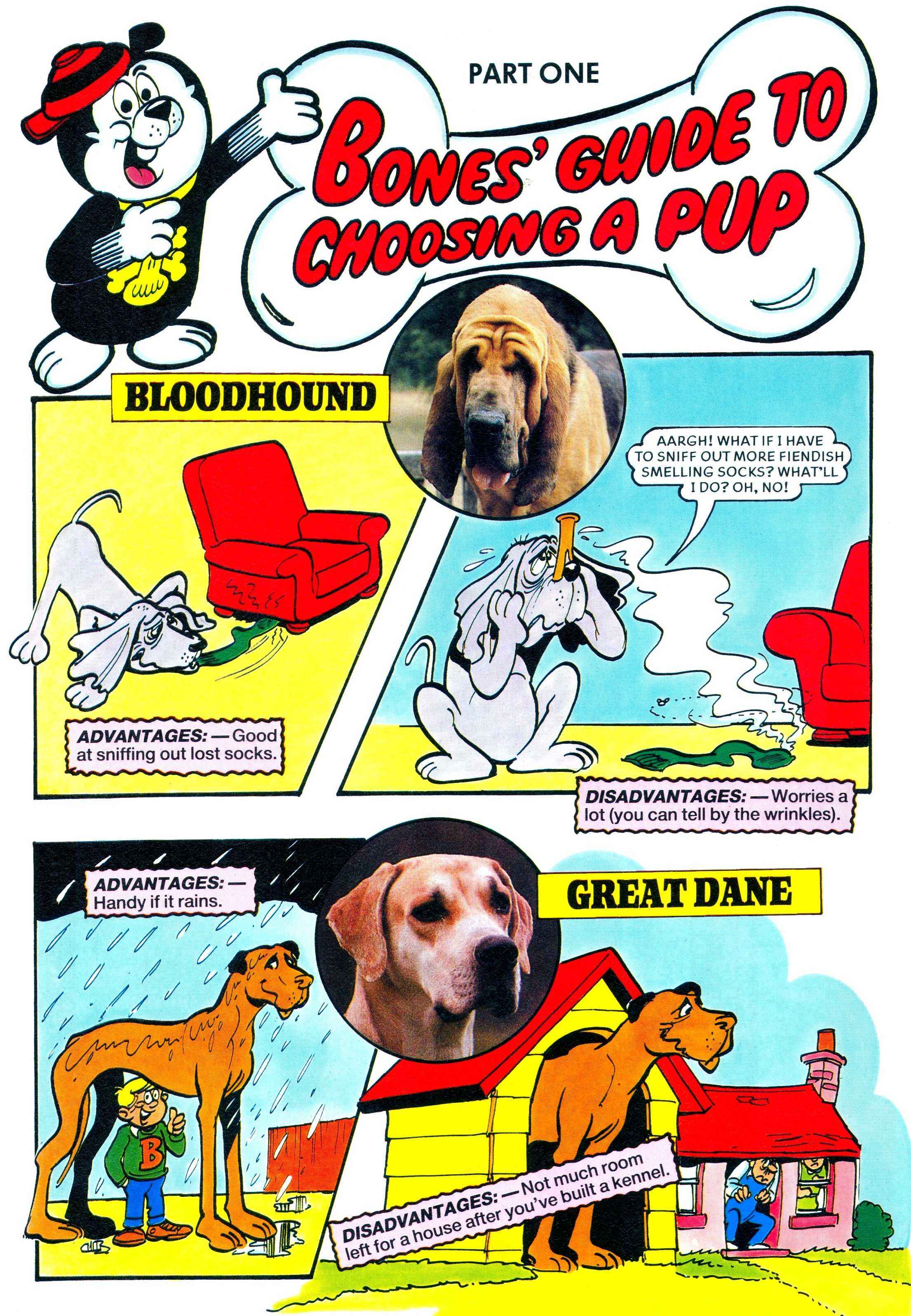 Read online Bash Street Kids comic -  Issue #1994 - 10