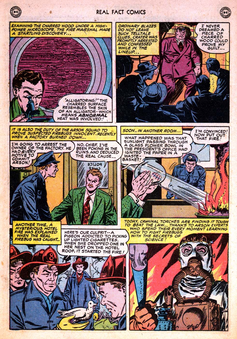 Read online Real Fact Comics comic -  Issue #20 - 8