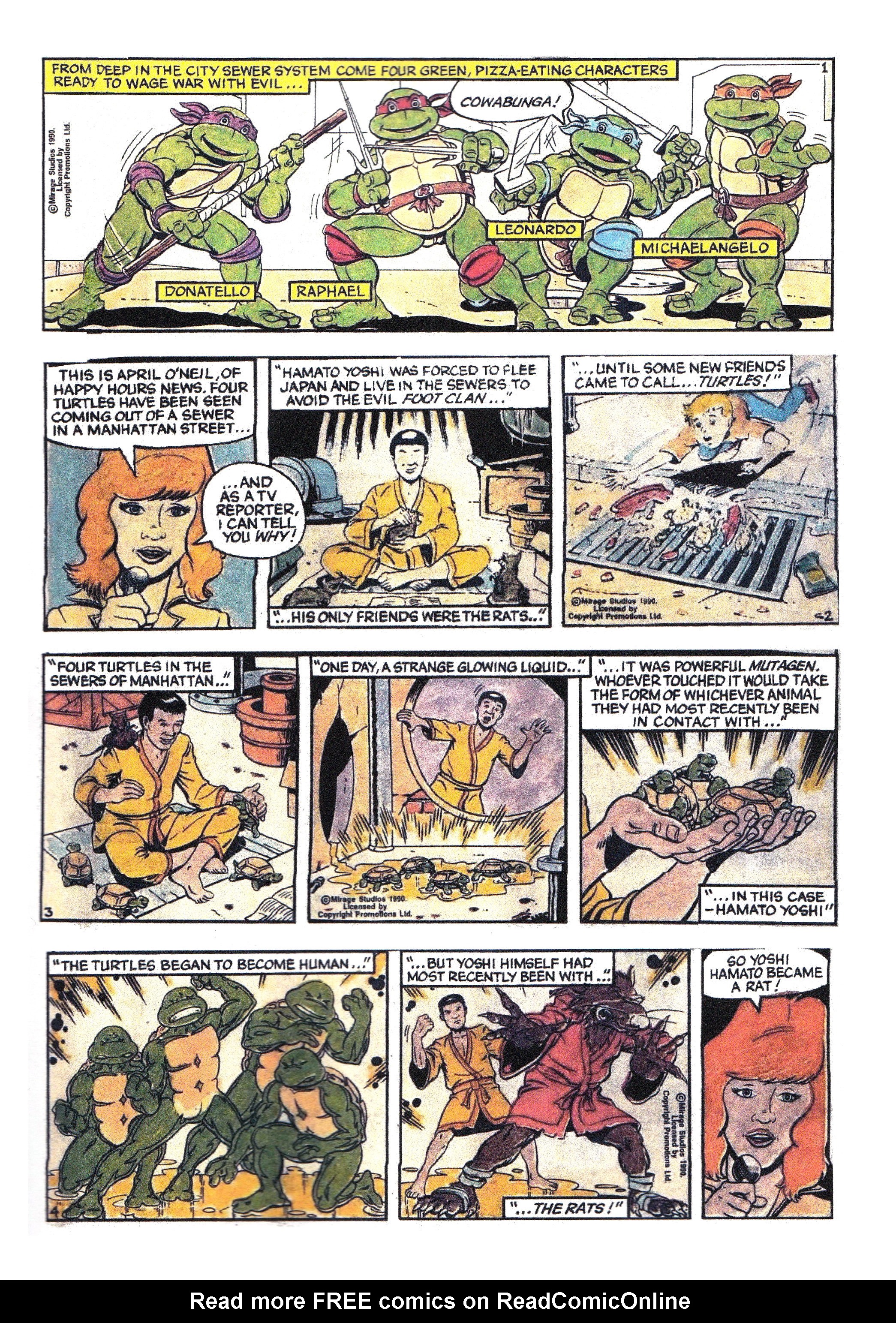 Read online Teenage Mutant Ninja Turtles: Complete Newspaper Daily Comic Strip Collection comic -  Issue # TPB 1 - 8