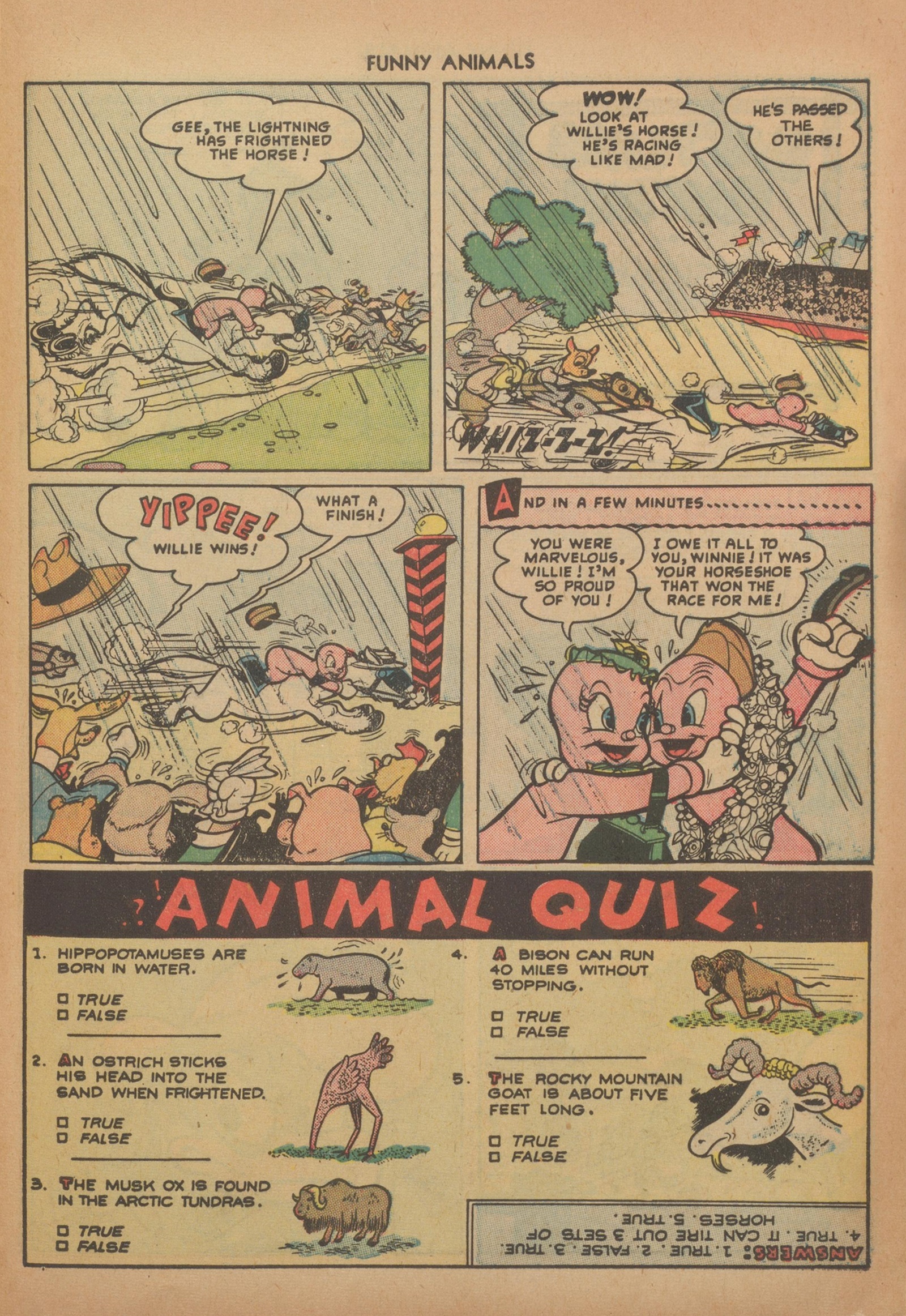 Read online Fawcett's Funny Animals comic -  Issue #64 - 29