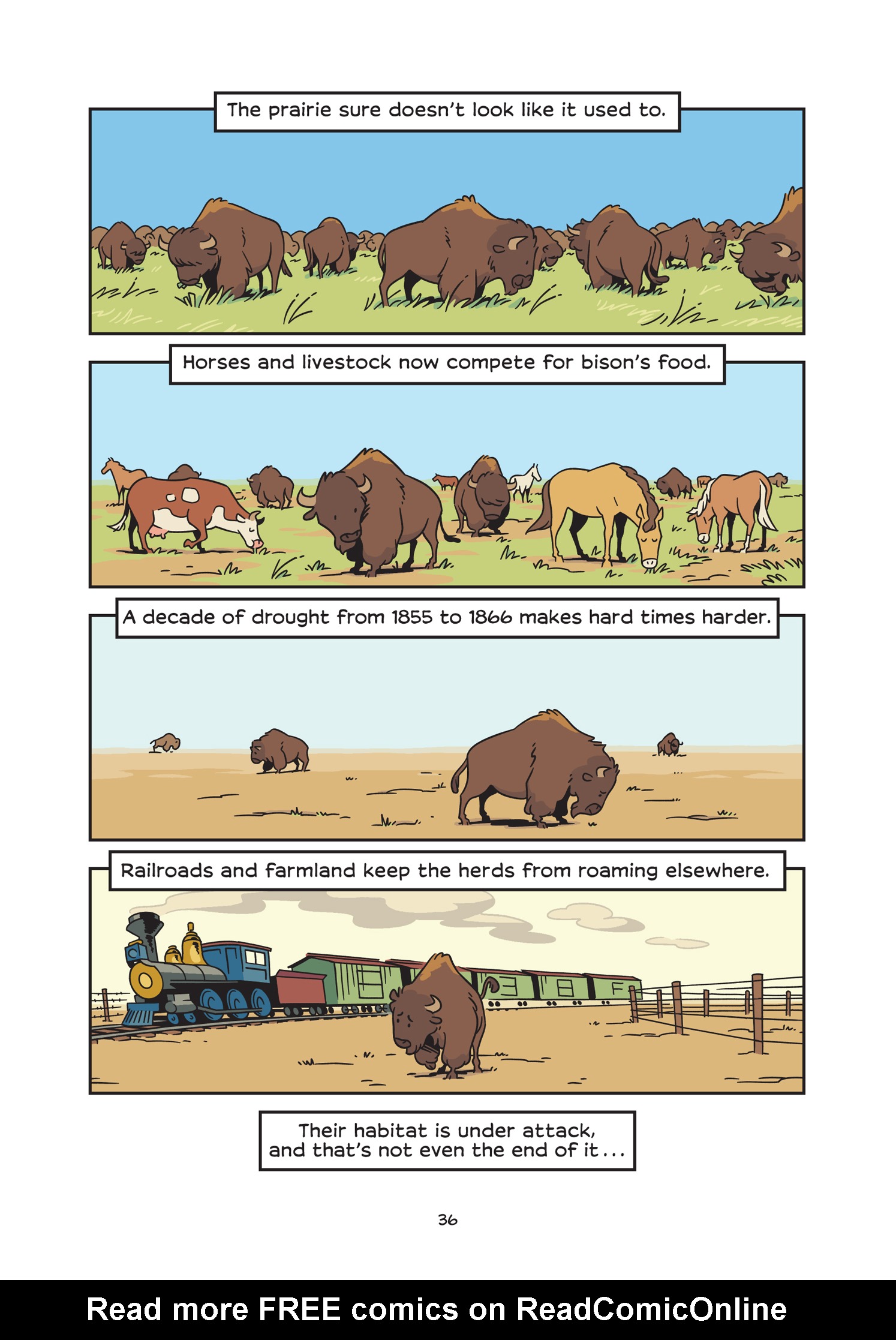 Read online History Comics comic -  Issue # The American Bison - The Buffalos Survival Tale - 42