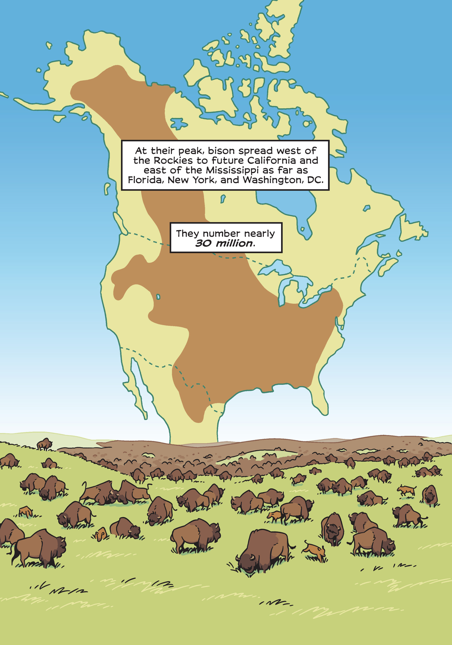 Read online History Comics comic -  Issue # The American Bison - The Buffalos Survival Tale - 24