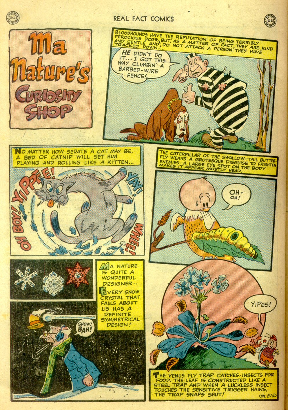 Read online Real Fact Comics comic -  Issue #15 - 42