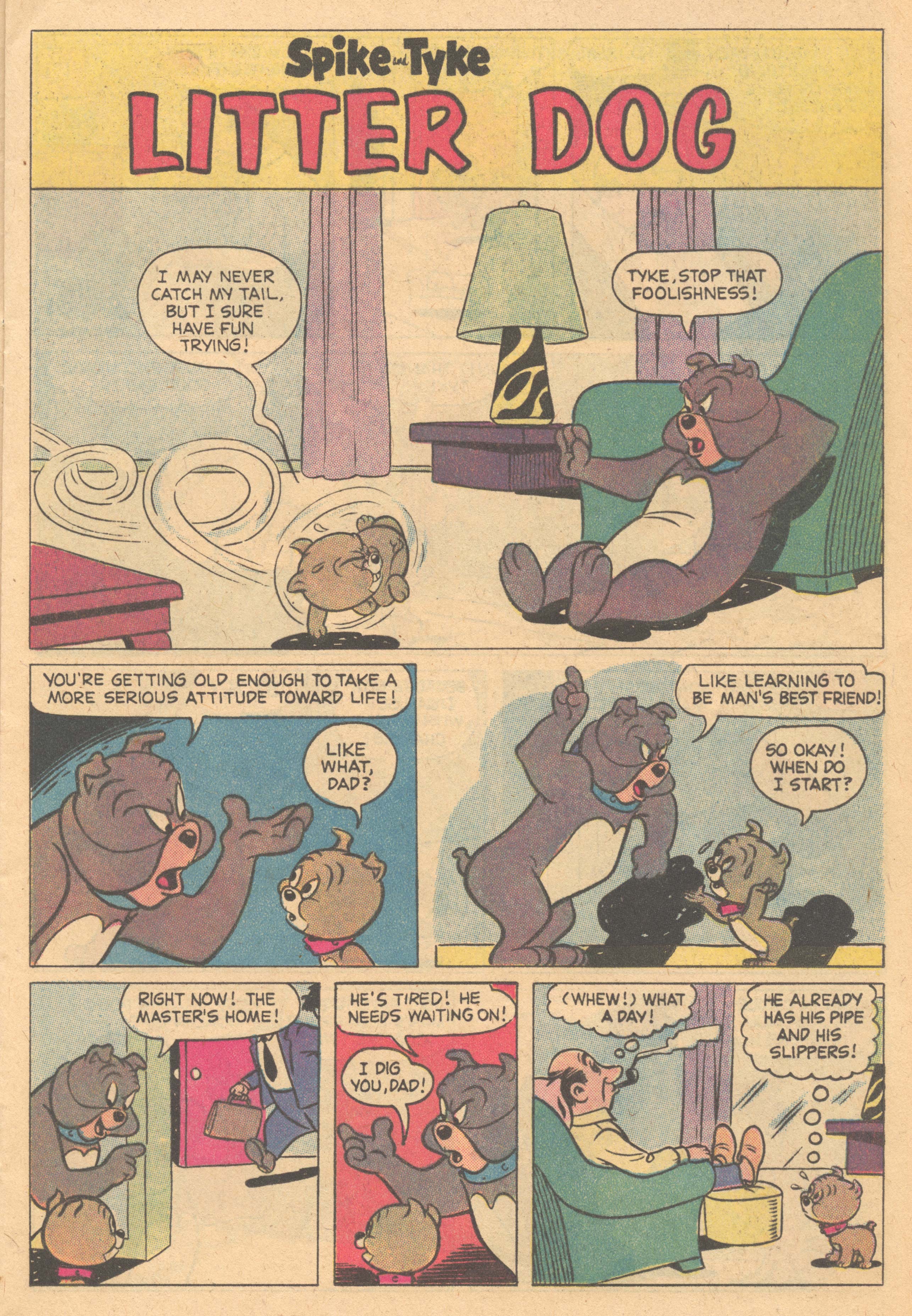 Read online Tom and Jerry comic -  Issue #336 - 13