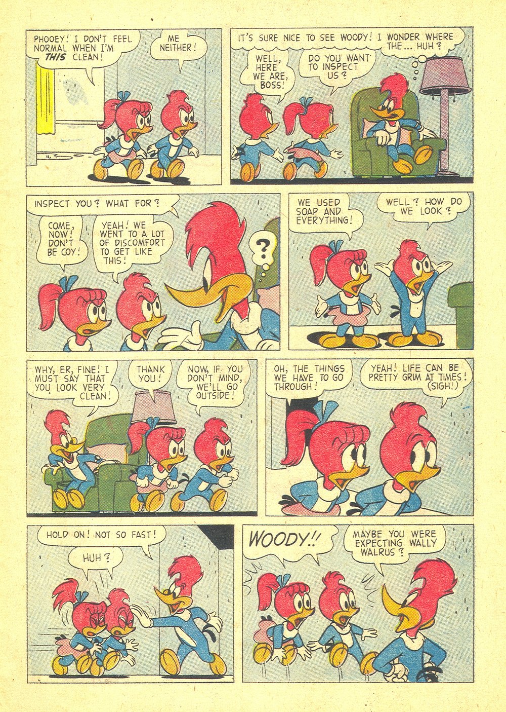 Read online Comic Album comic -  Issue #5 - 5