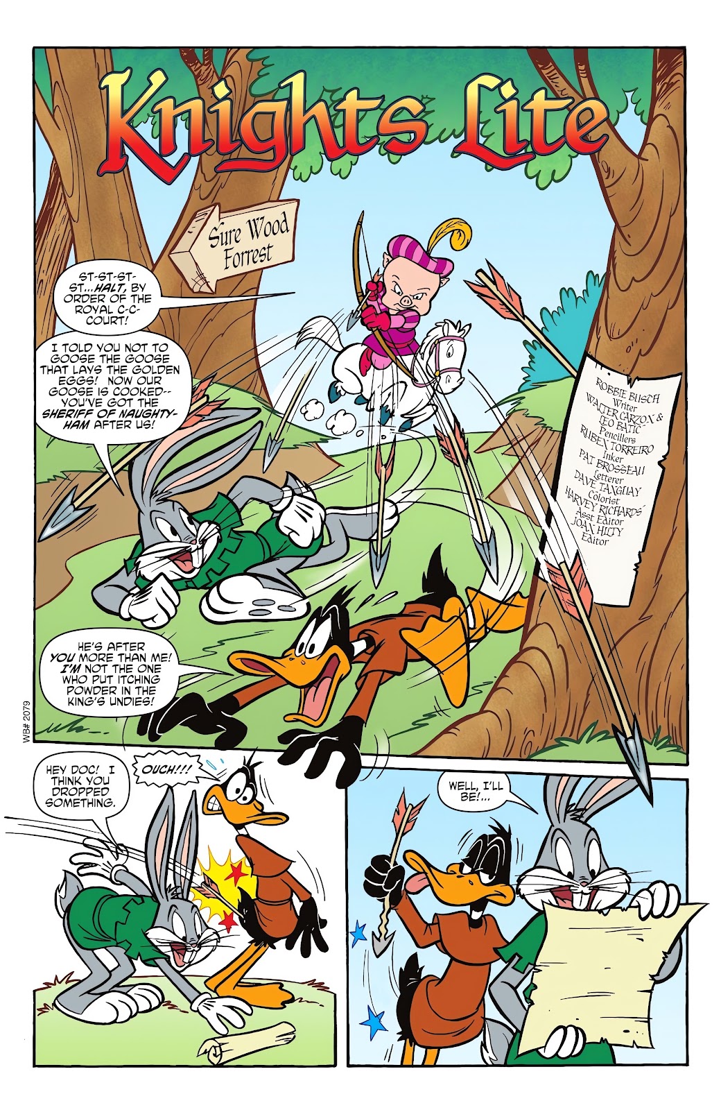 Looney Tunes (1994) issue 273 - Page 14